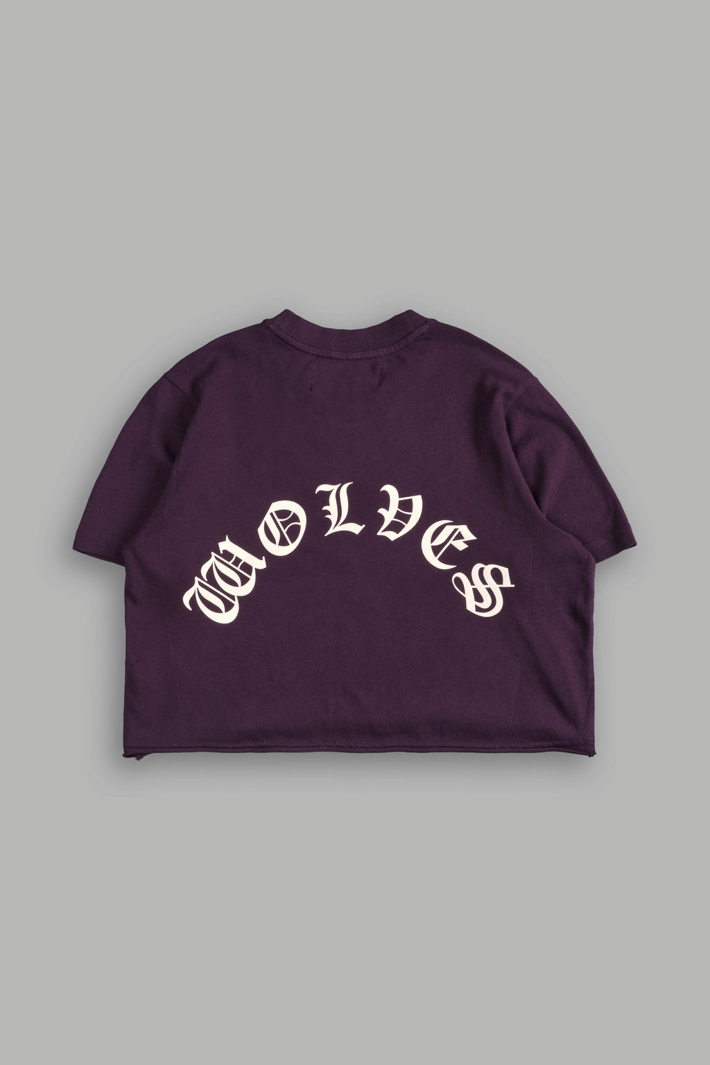 Mission Accomplished "Premium" (Cropped) Tee in Storm Purple - imagem 4