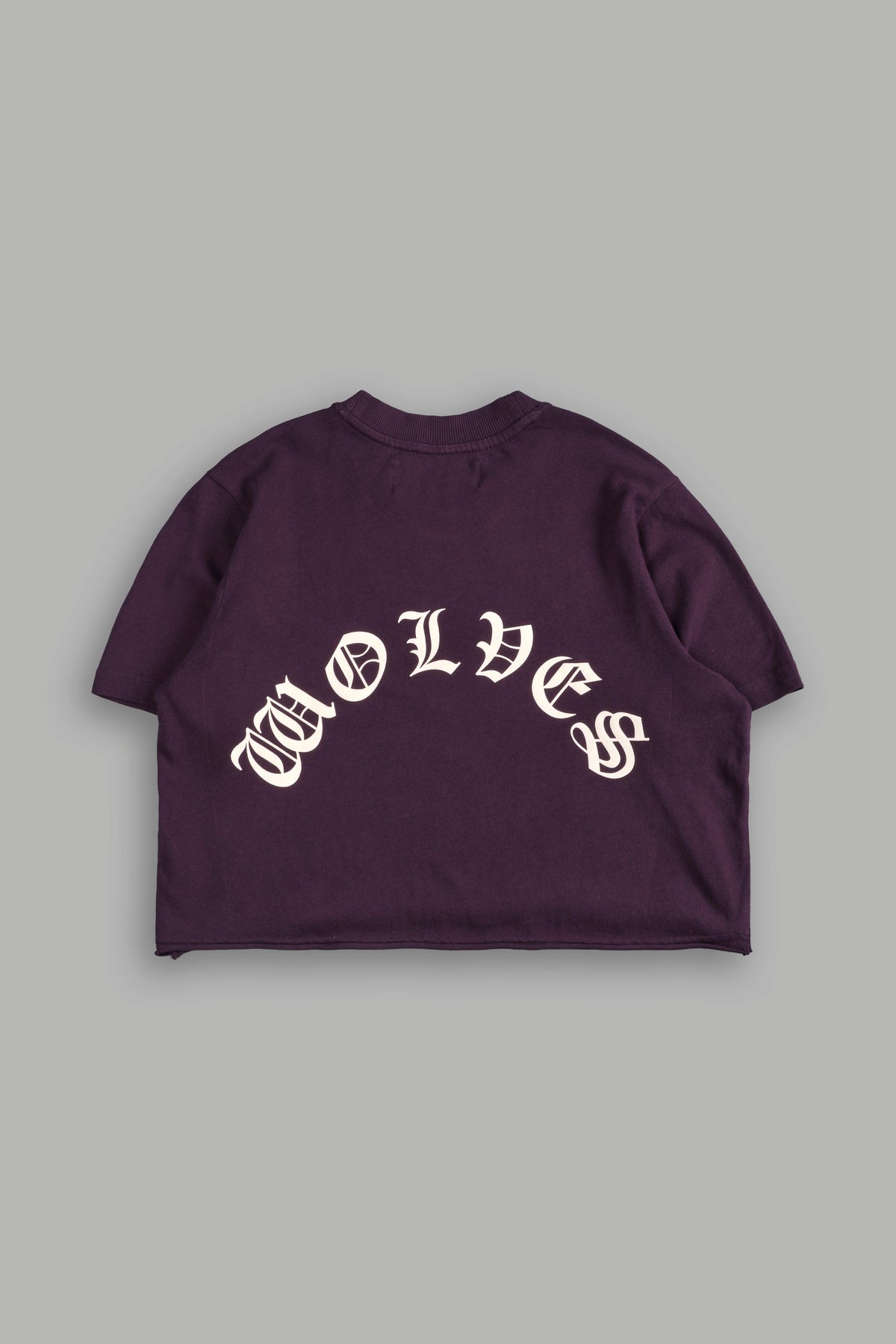 Mission Accomplished "Premium" (Cropped) Tee in Storm Purple - imagem 4