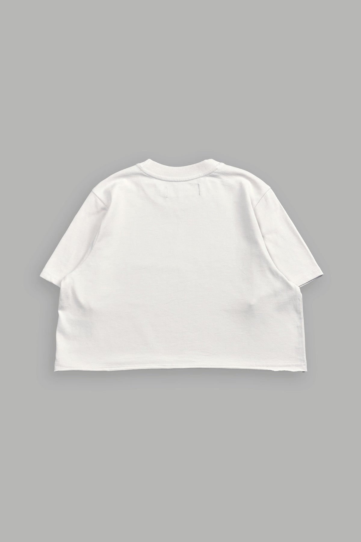 Pyramid V2 "Premium" (Cropped) Tee in Stone - imagem 4