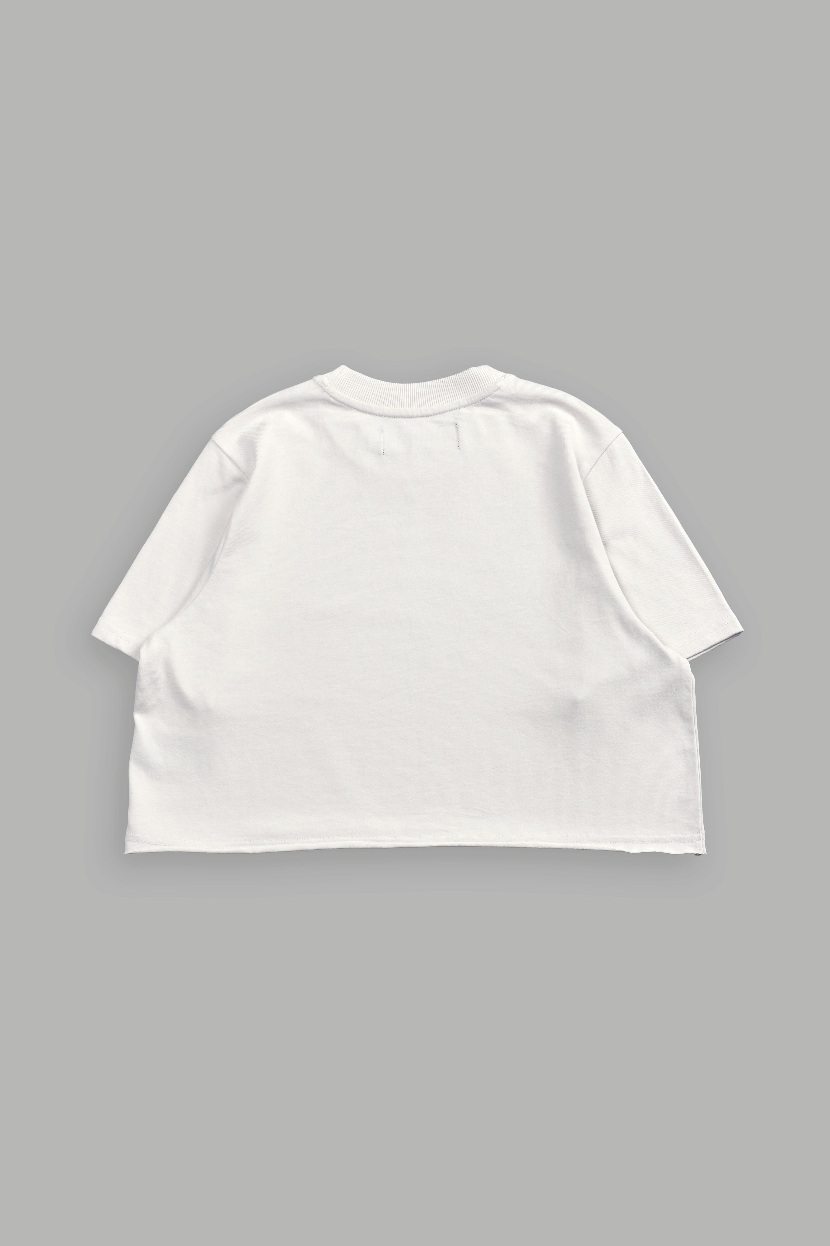 Pyramid V2 "Premium" (Cropped) Tee in Stone — imagem 4