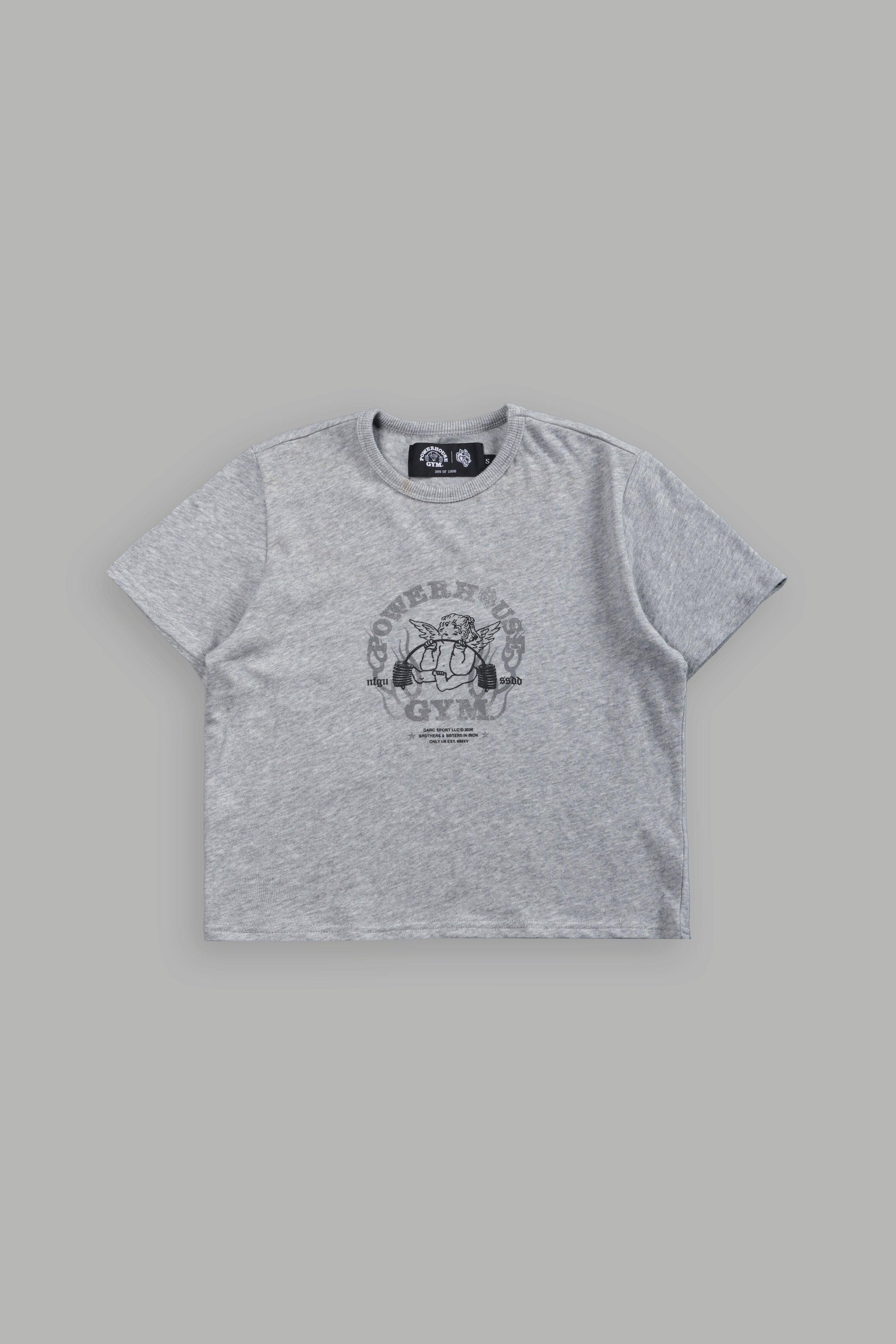 Powerhouse of the Cherub "Timeless" Tee in Light Athletic Gray — imagem 5