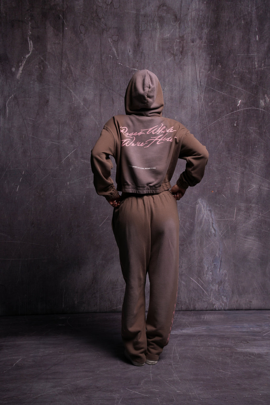 Roses While We're Here "Chambers" (Cropped) Zip Hoodie in Mojave Brown Sun Fade — imagem 2