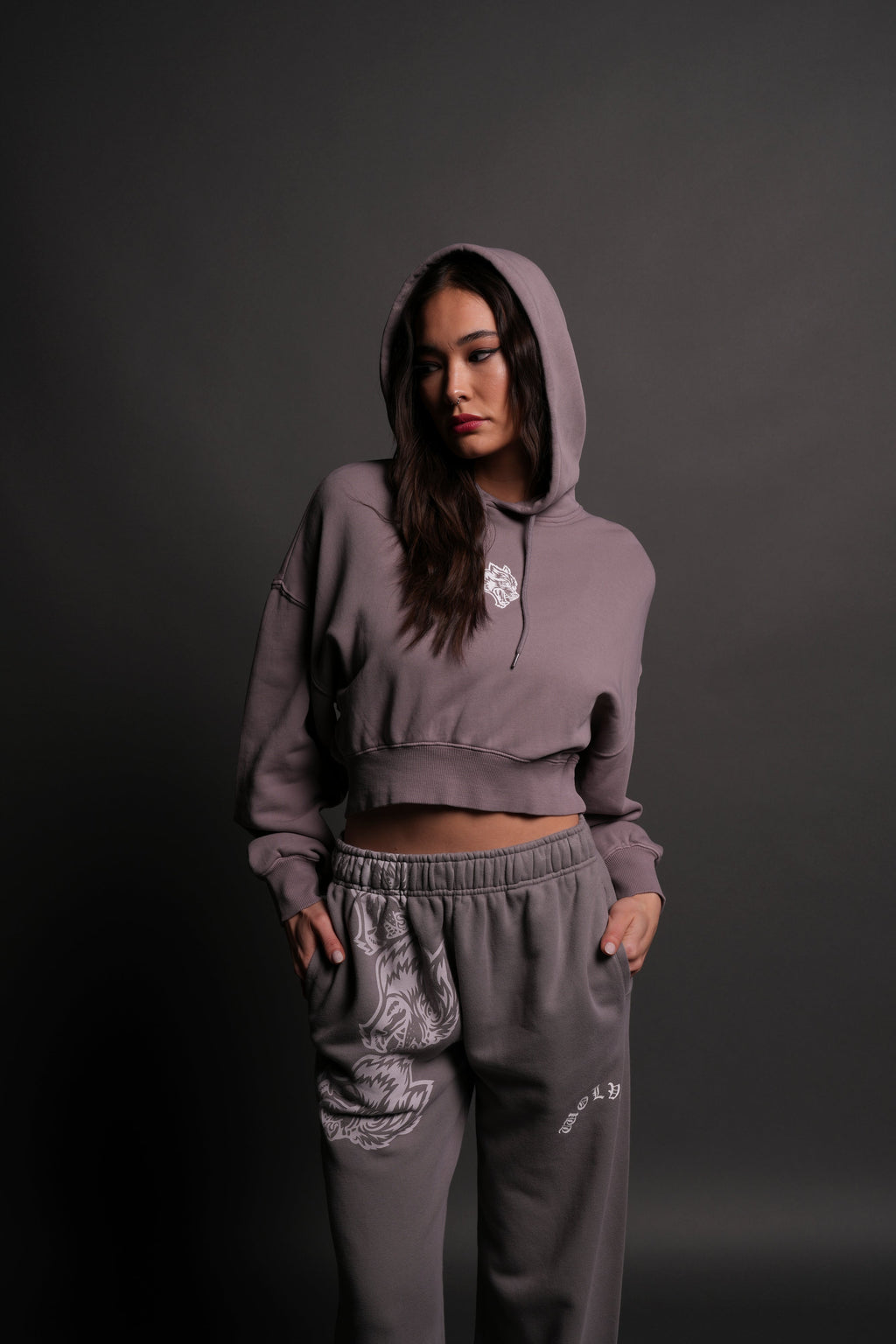 Icon "Ava" Hoodie in Pale Gray — imagem 1