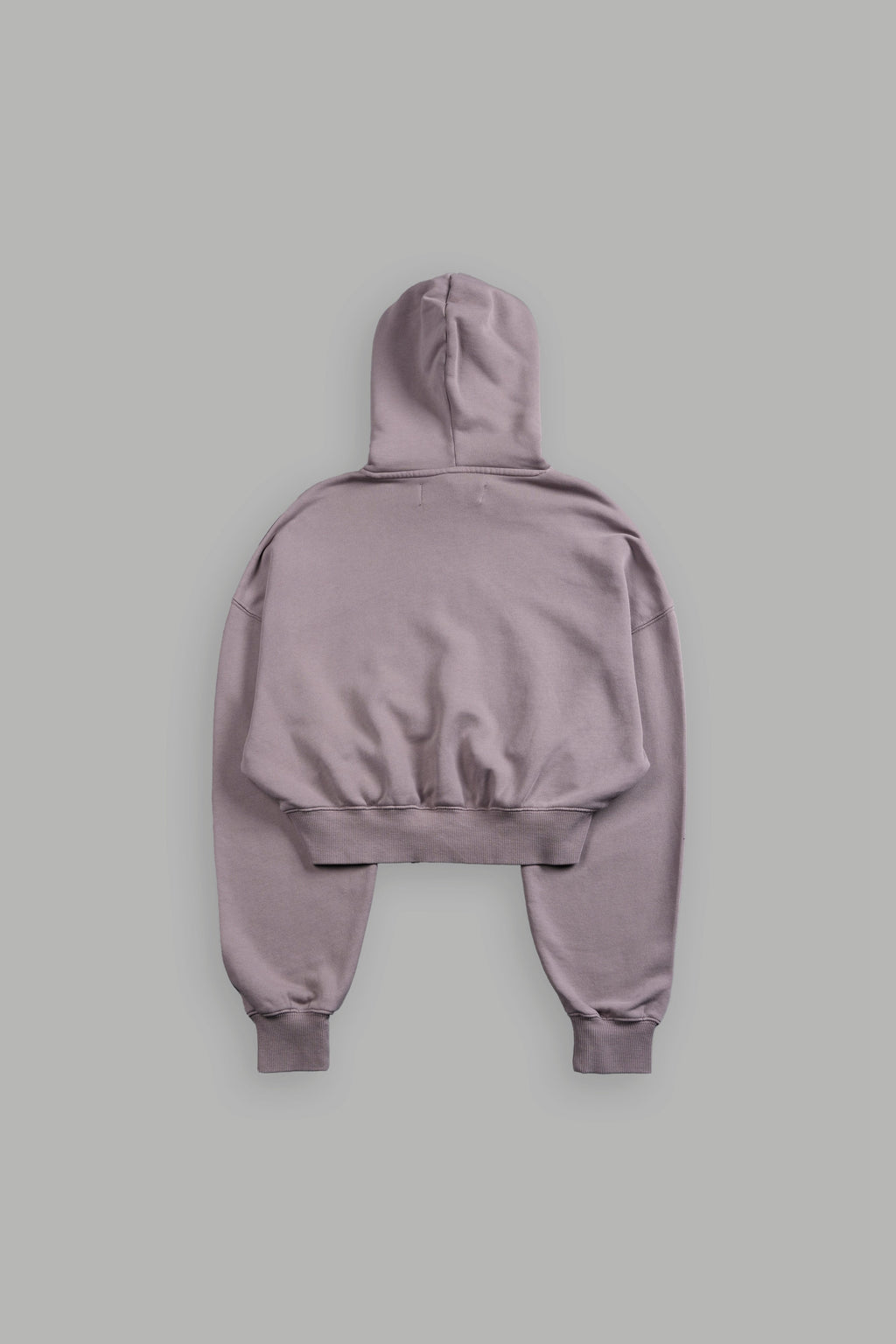 Icon "Ava" Hoodie in Pale Gray — imagem 2
