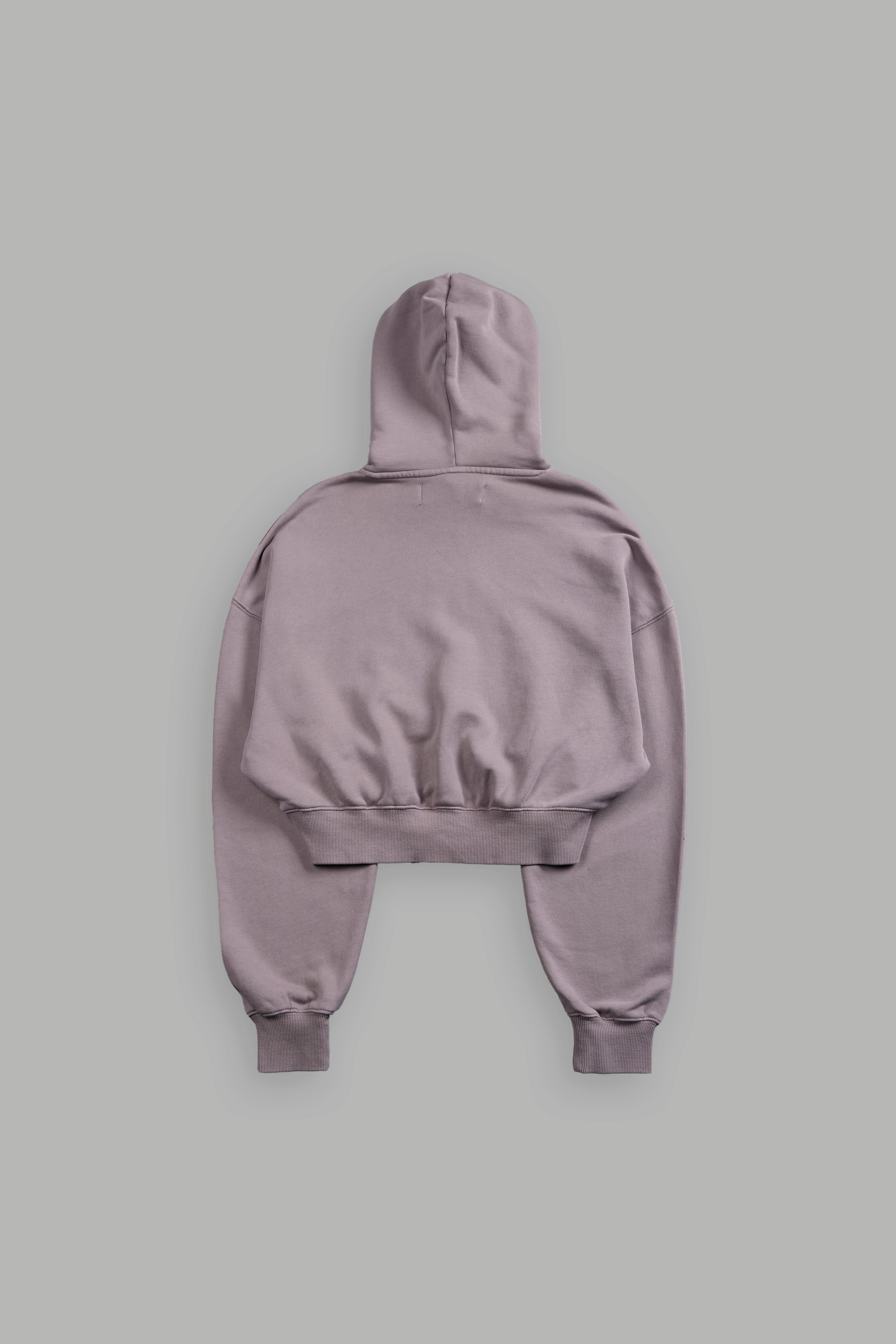 Icon "Ava" Hoodie in Pale Gray — imagem 2