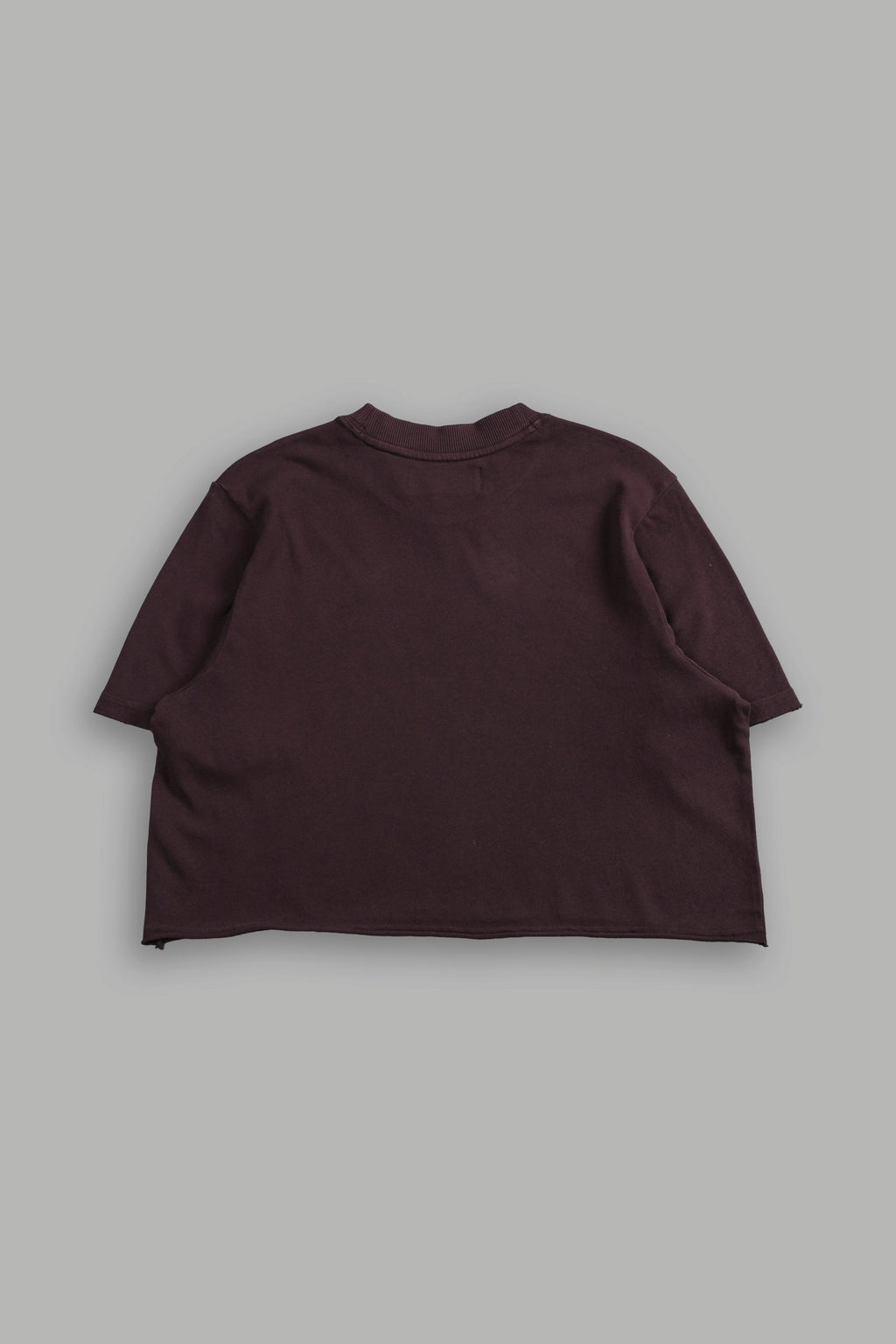 Drip Hesh Distressed Oversized (Cropped) Tee in Darc Garnet — imagem 4