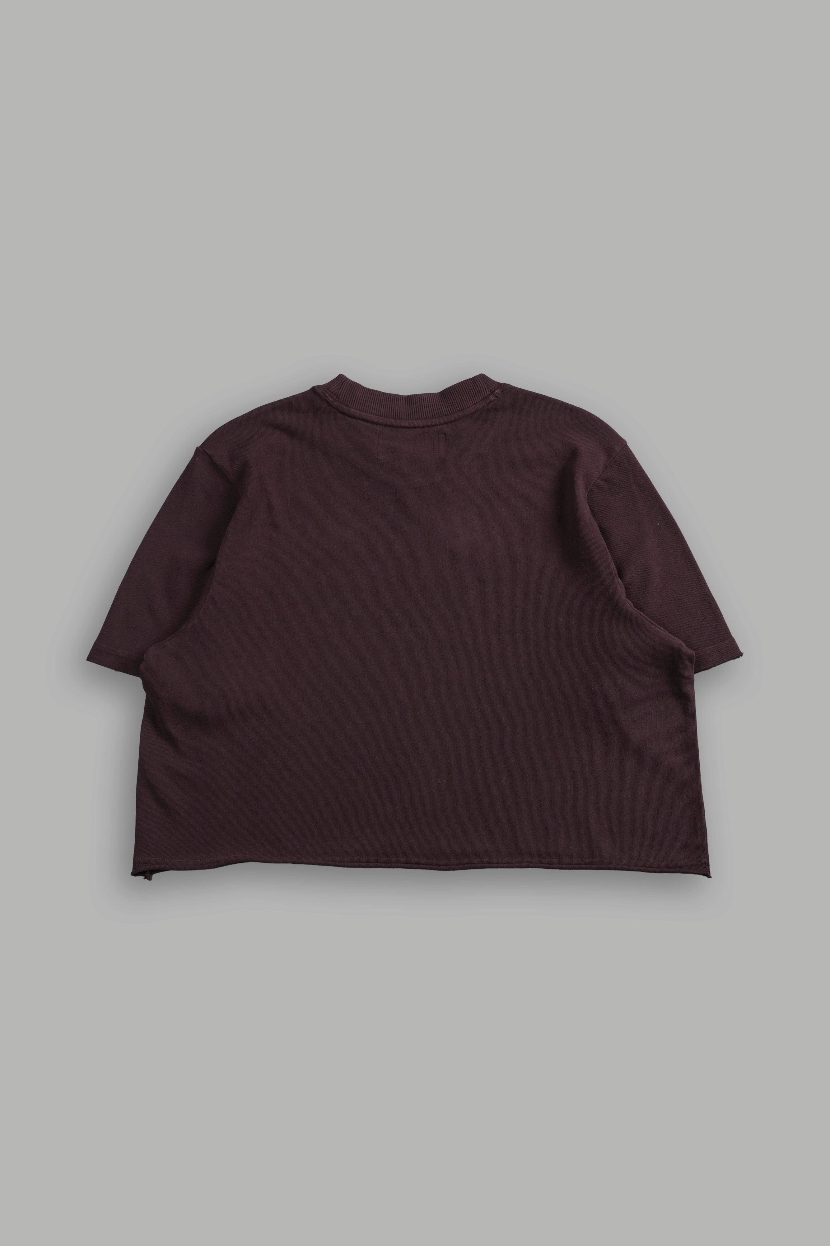 Drip Hesh Distressed Oversized (Cropped) Tee in Darc Garnet — imagem 4
