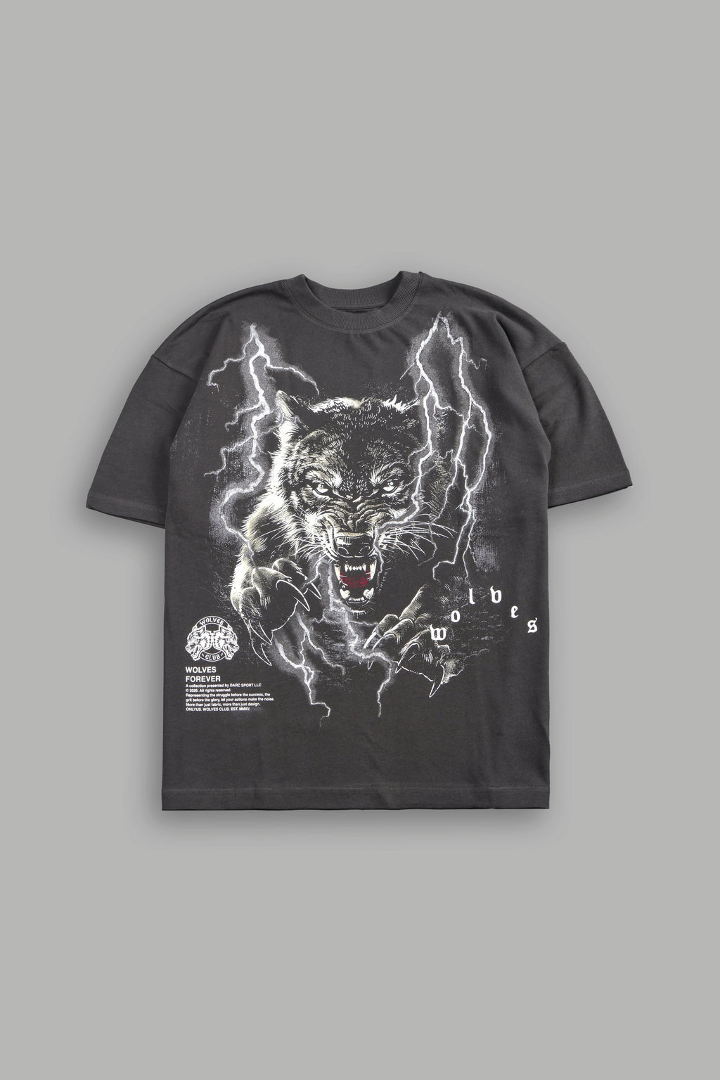Trust Your Journey Premium Oversized Tee in Wolf Gray — imagem 1