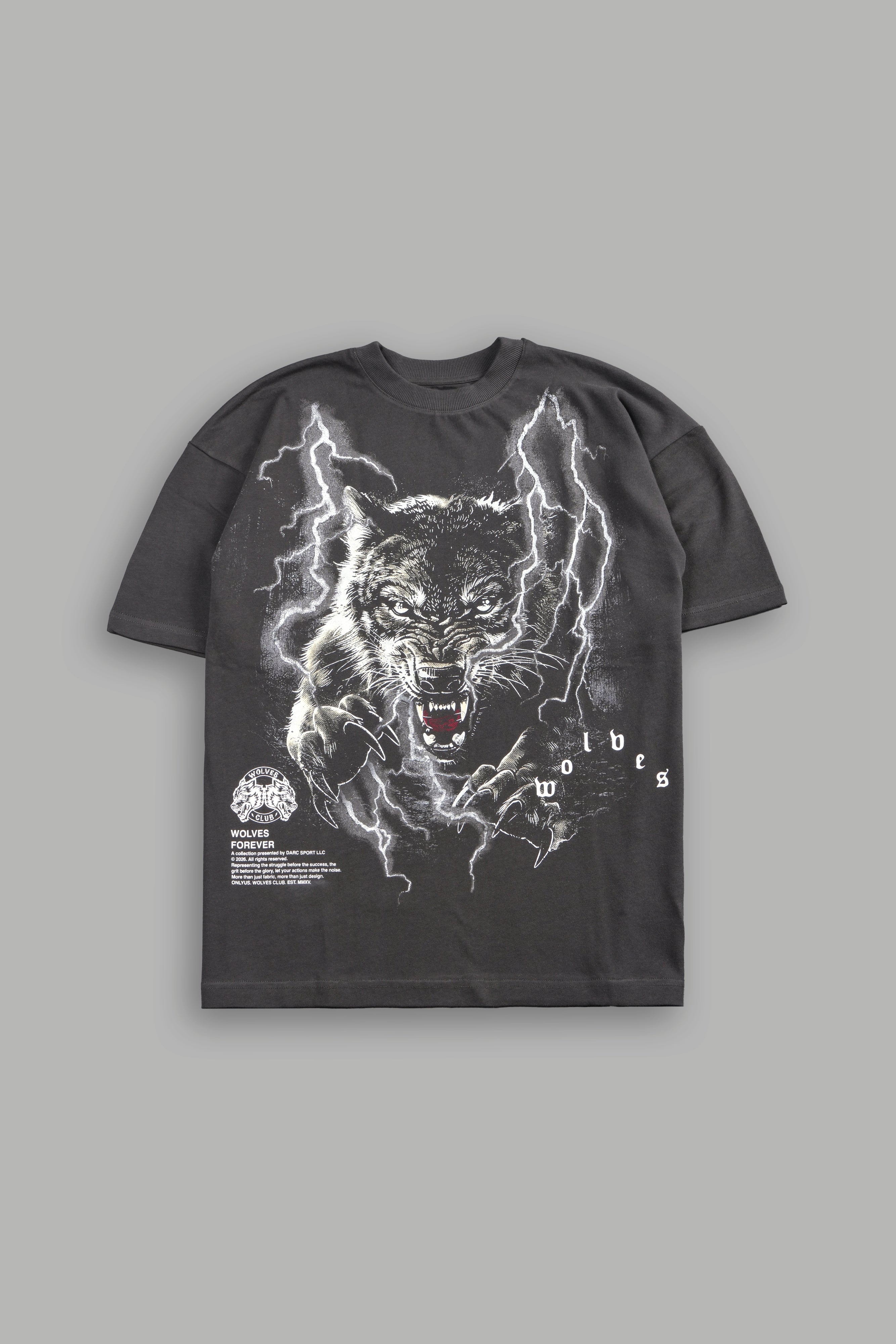 Trust Your Journey Premium Oversized Tee in Wolf Gray — imagem 1