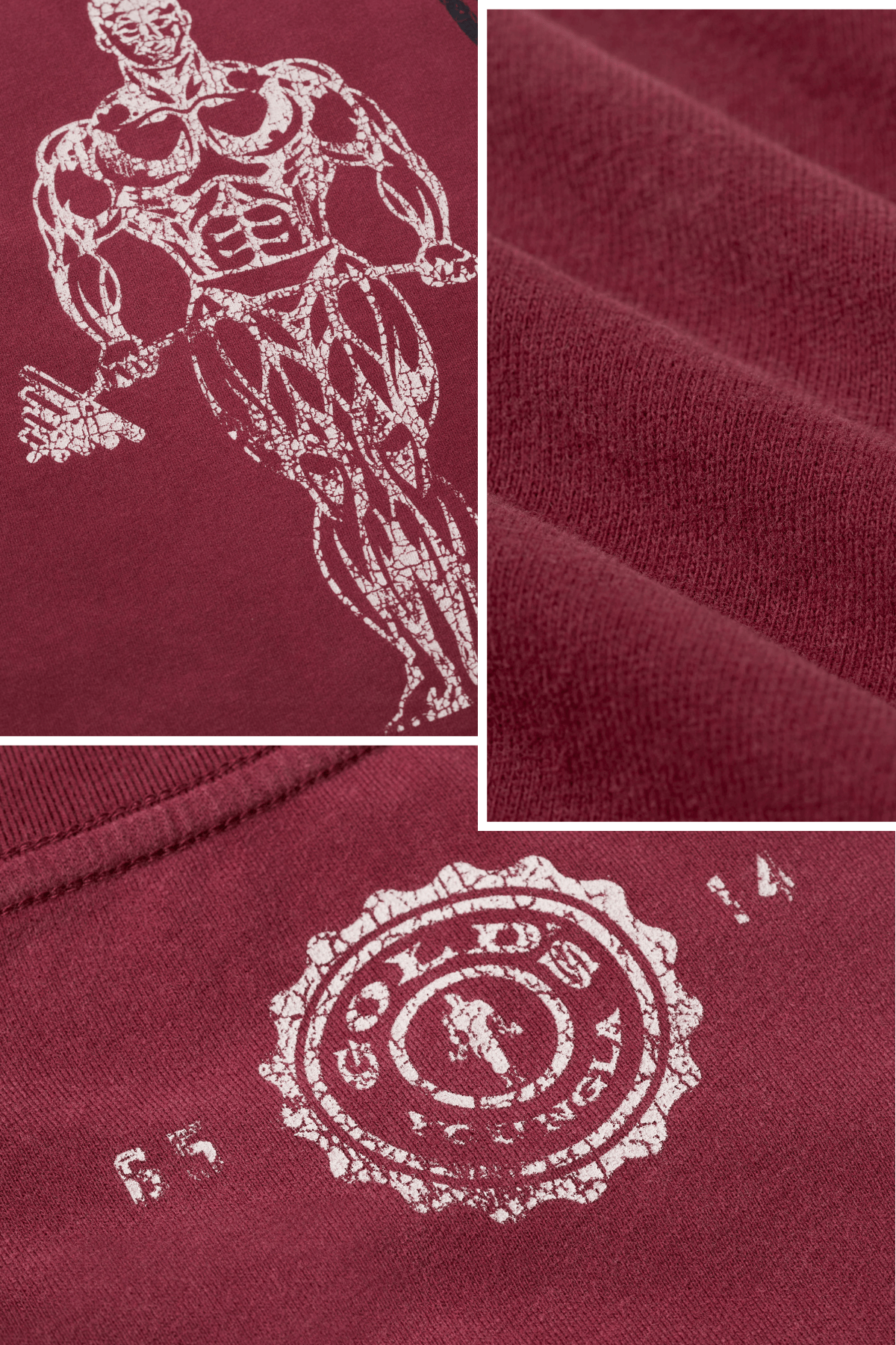4213 - Gold's Iron Legacy Icon Tees — imagem 5