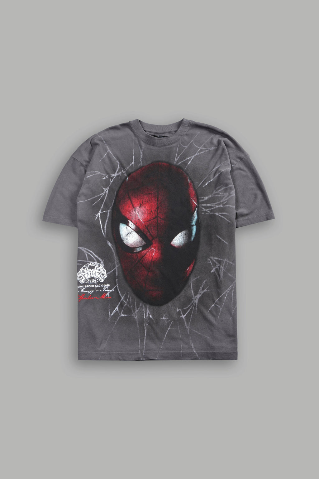 Web Of Darkness Premium Oversized Tee in Slate Gray
