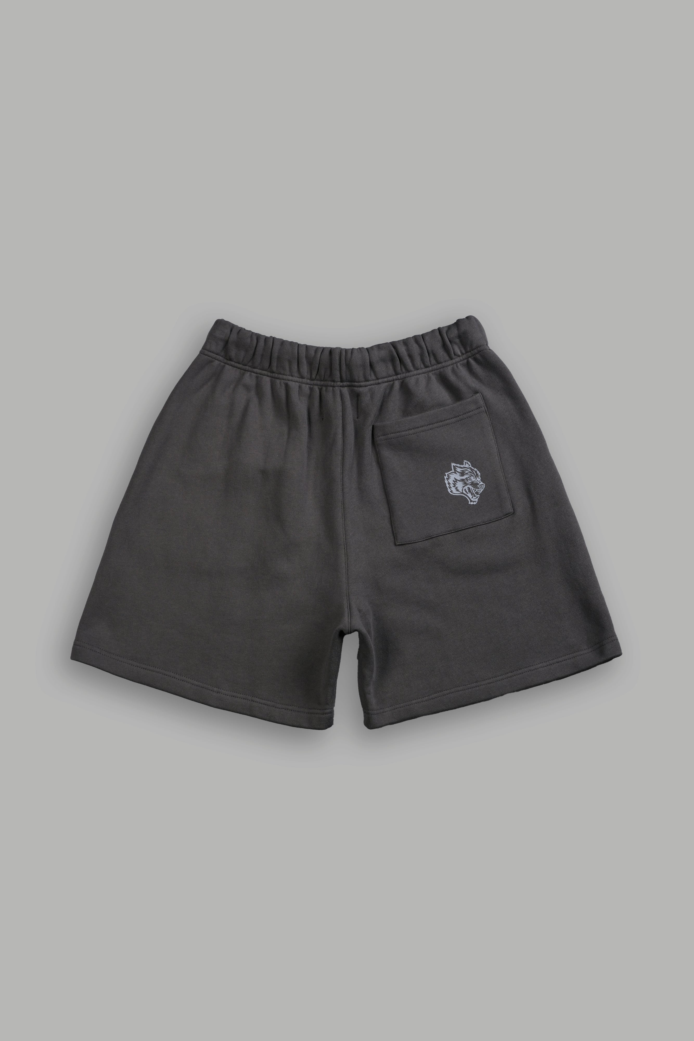 Stud Wolf Post Lounge Sweat Shorts in Wolf Gray — imagem 3