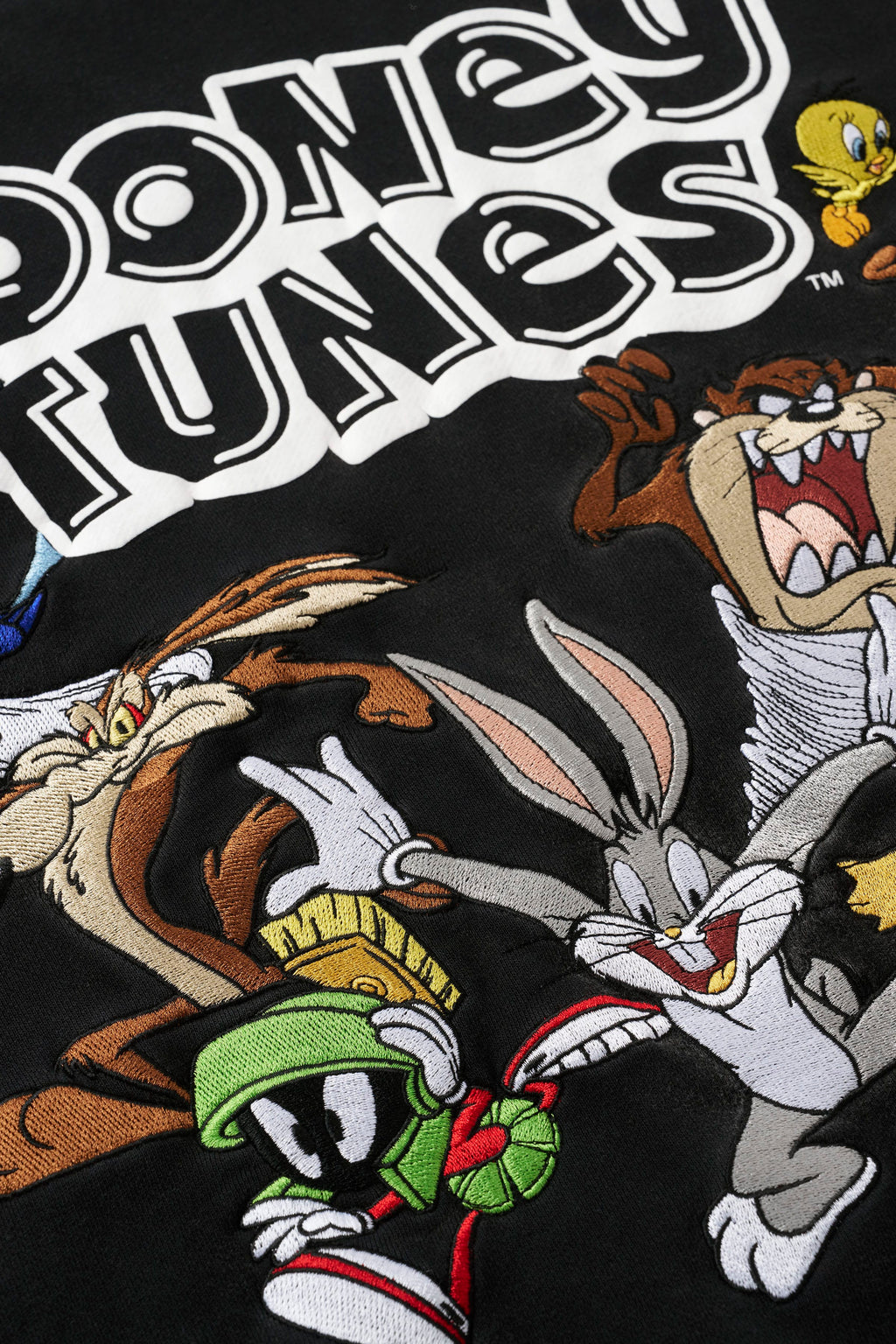5114 - Looney Tunes Embroidered Hoodies — imagem 3