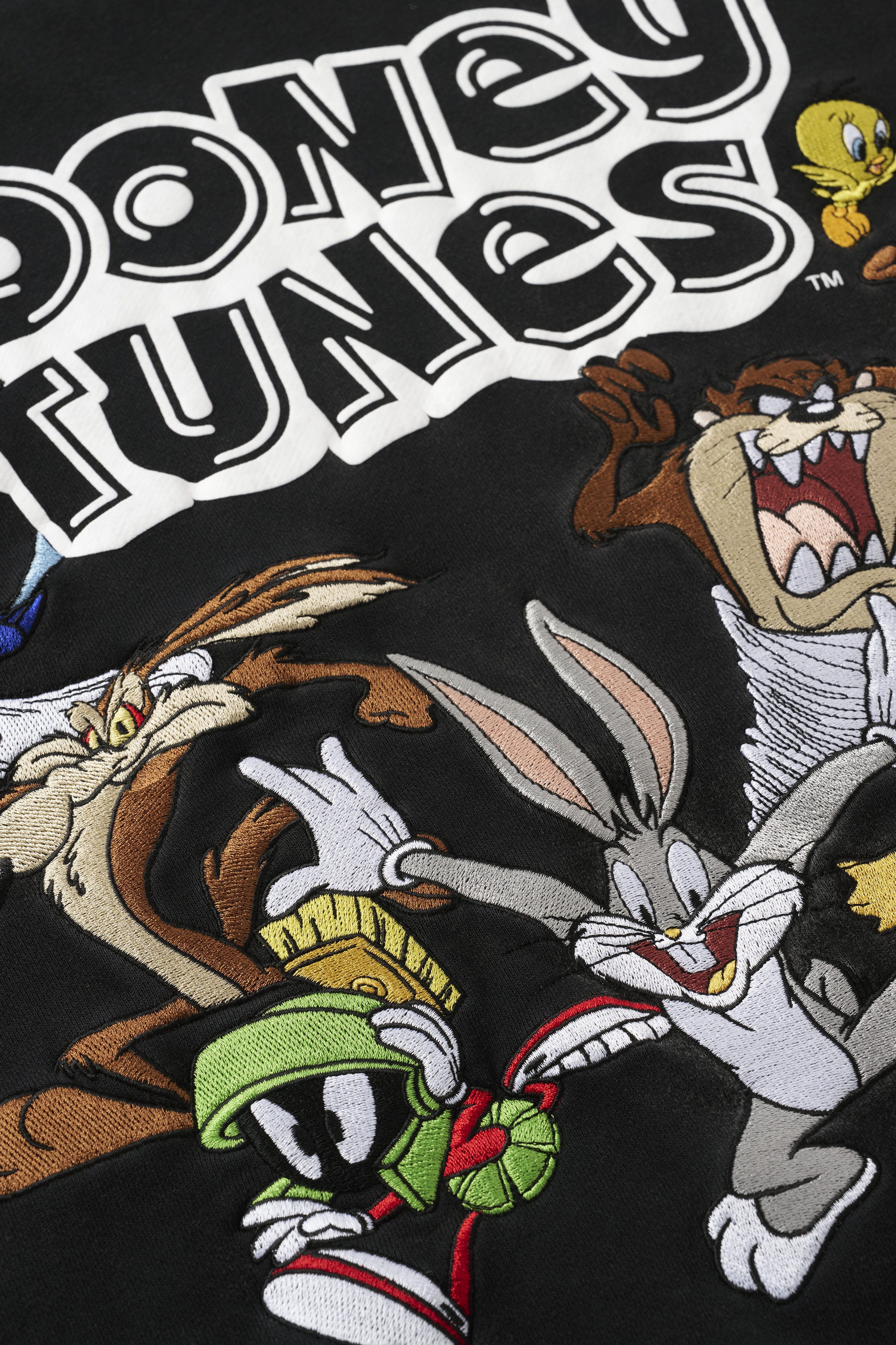 5114 - Looney Tunes Embroidered Hoodies — imagem 3