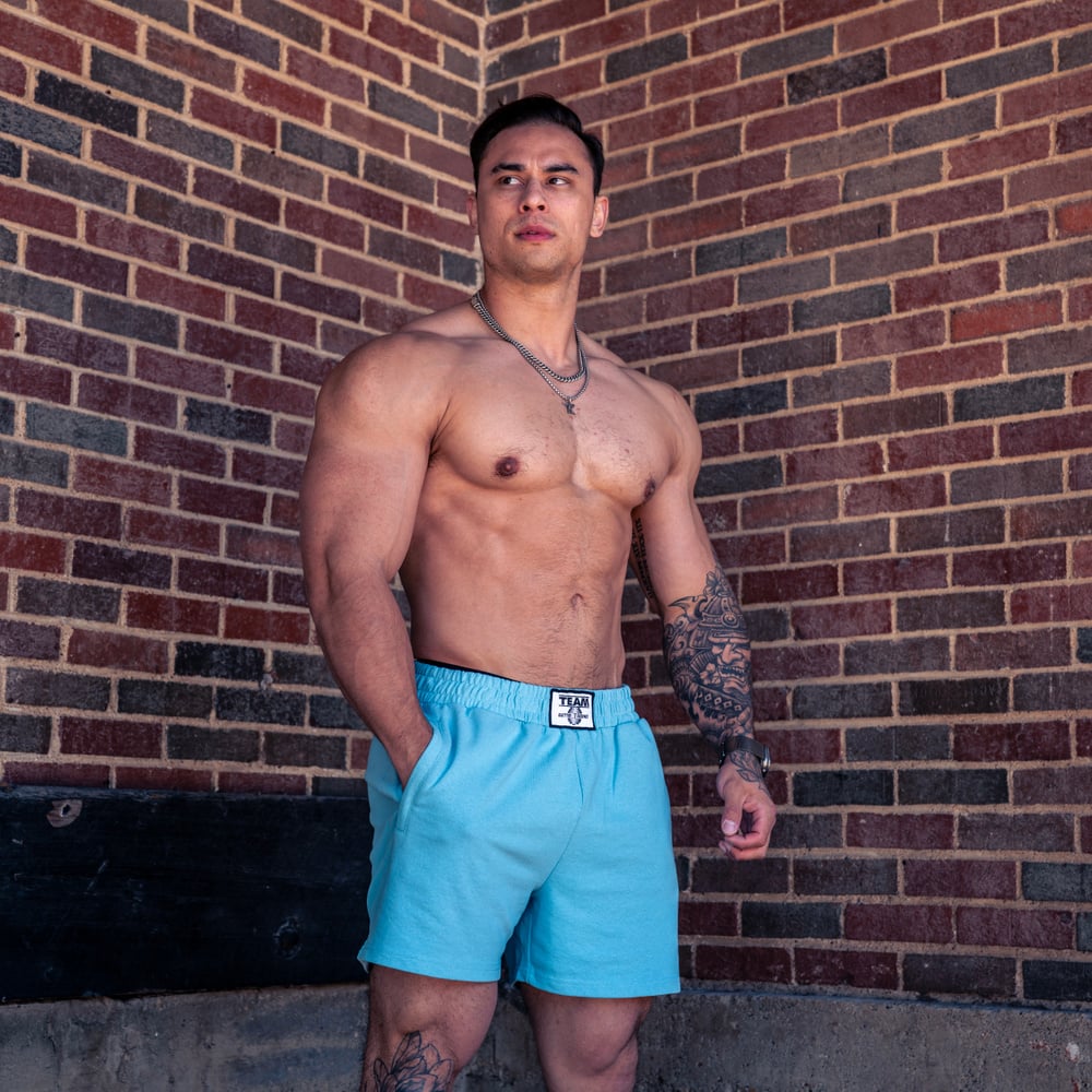 Team Classic Sweatshorts 4" — imagem 12