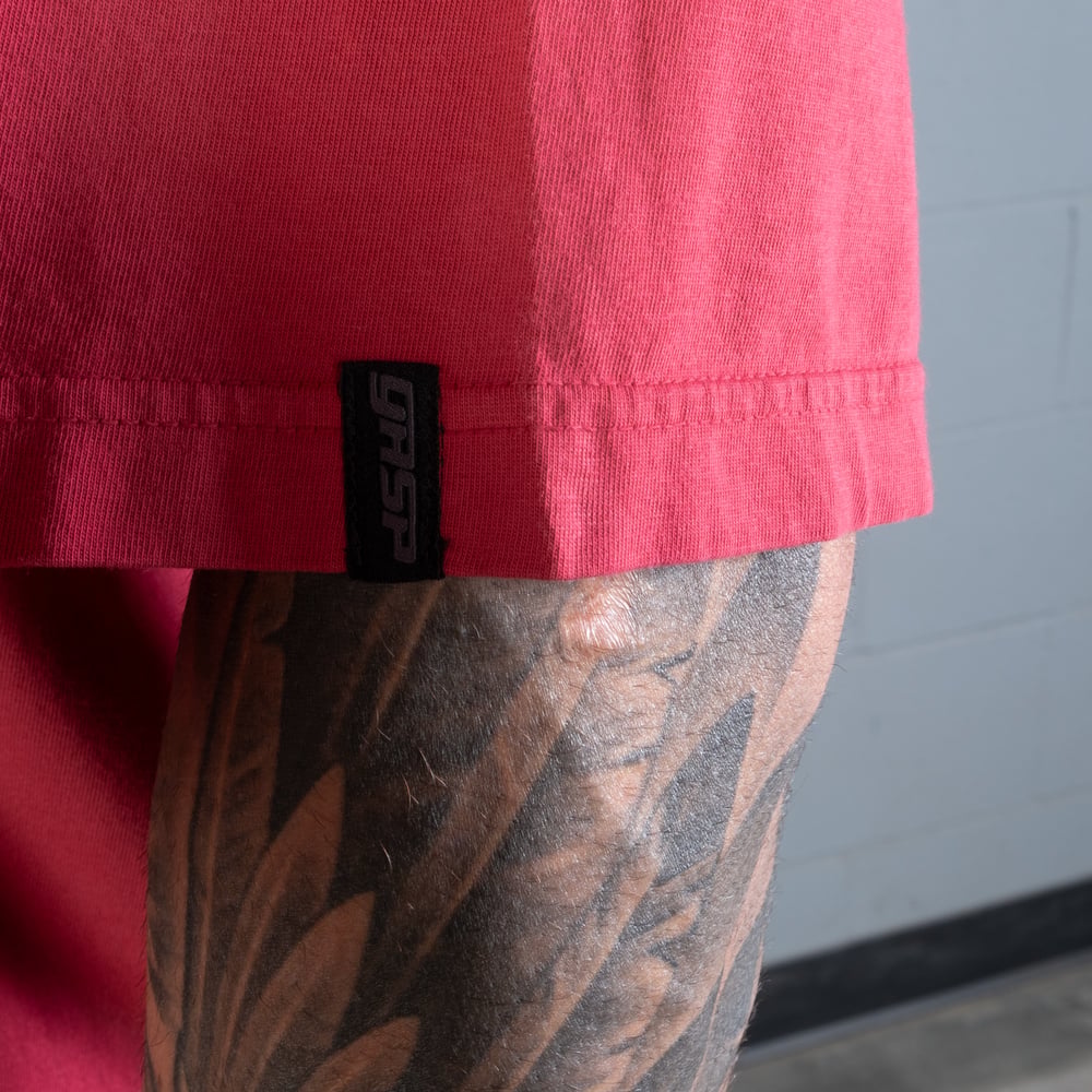 Vintage Iron Tee - Washed Chili Red - imagem 4