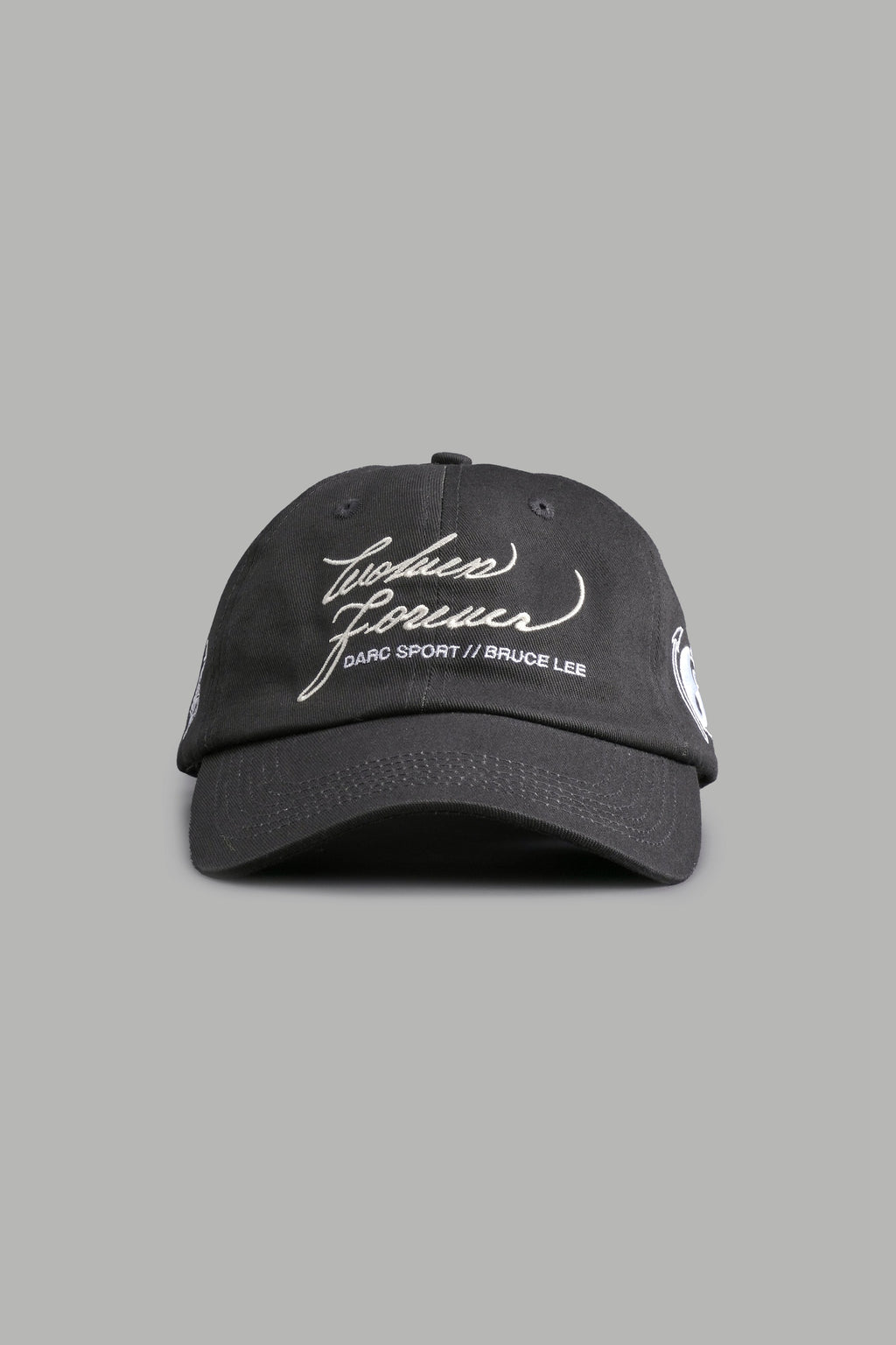 Search Within Dad Hat V2 in Wolf Gray — imagem 1