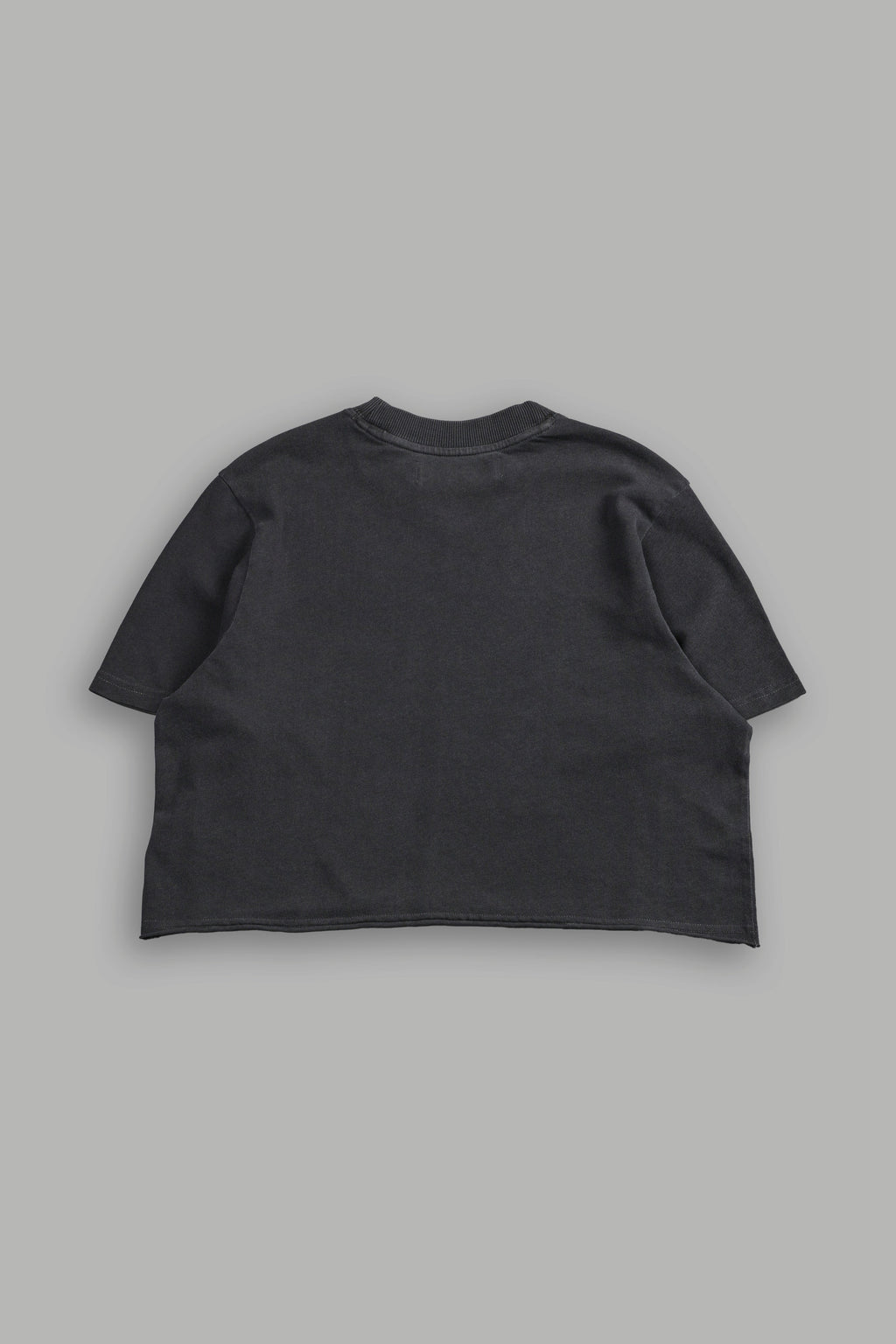 Wolves Forever "Premium" (Cropped) Tee in Wolf Gray — imagem 2