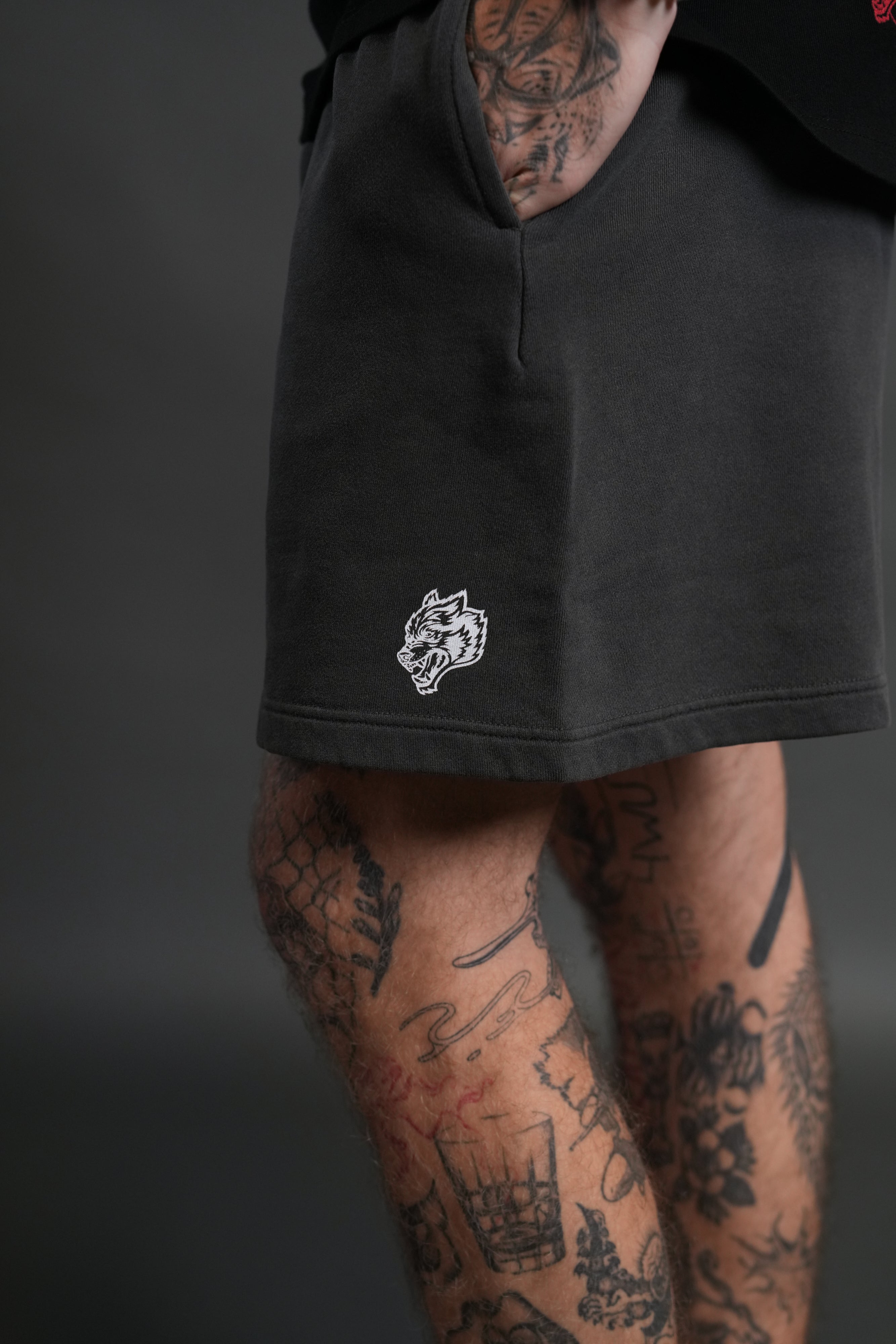 Box Patch Dual Post Lounge Sweat Shorts V2 in Wolf Gray — imagem 6