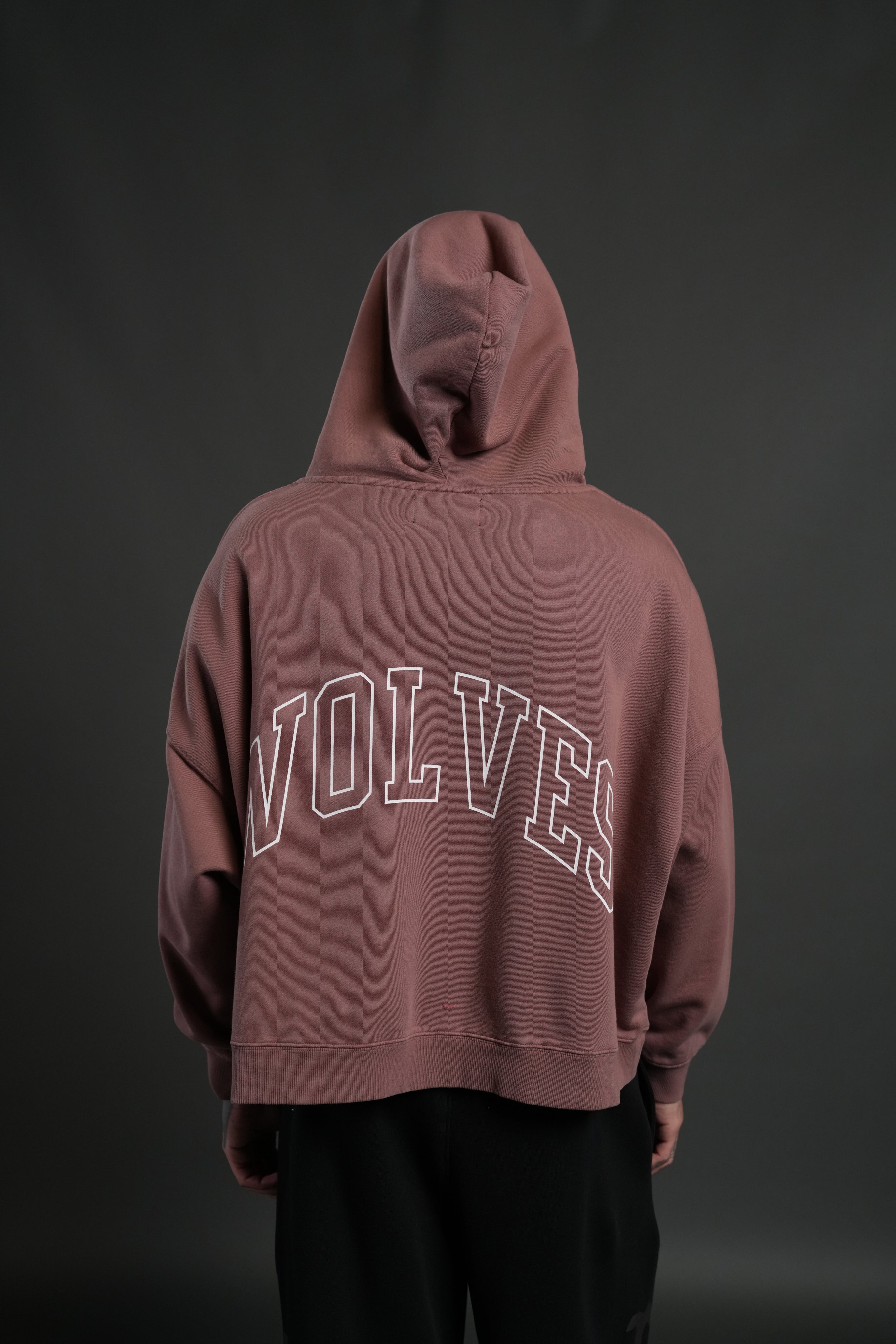 Wolf of the Flame Grunge "Gage Box Cut" Hoodie in Mauve — imagem 2