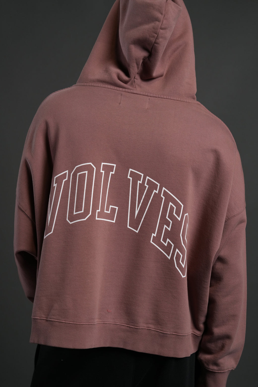 Wolf of the Flame Grunge "Gage Box Cut" Hoodie in Mauve — imagem 5