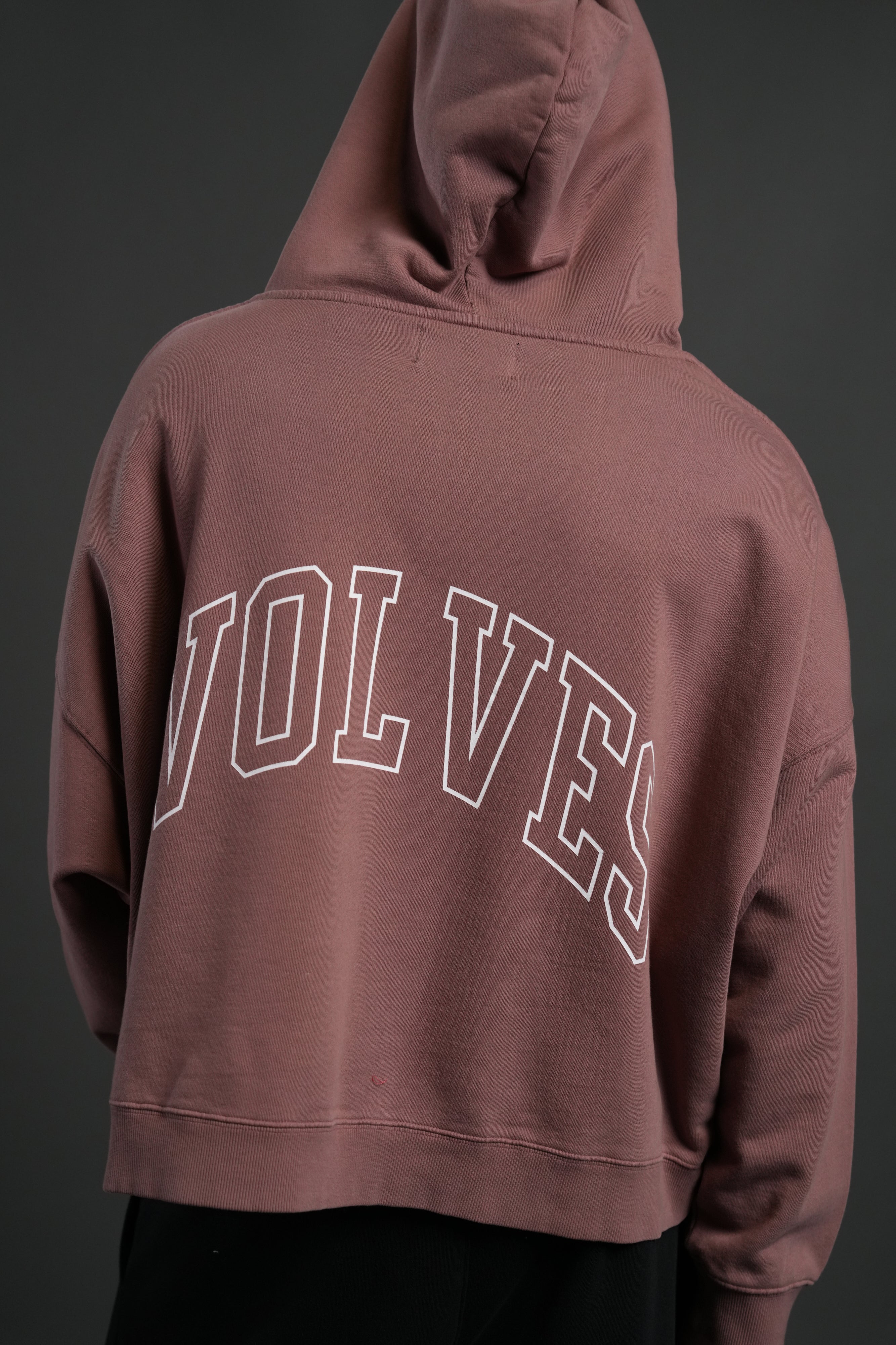 Wolf of the Flame Grunge "Gage Box Cut" Hoodie in Mauve — imagem 5