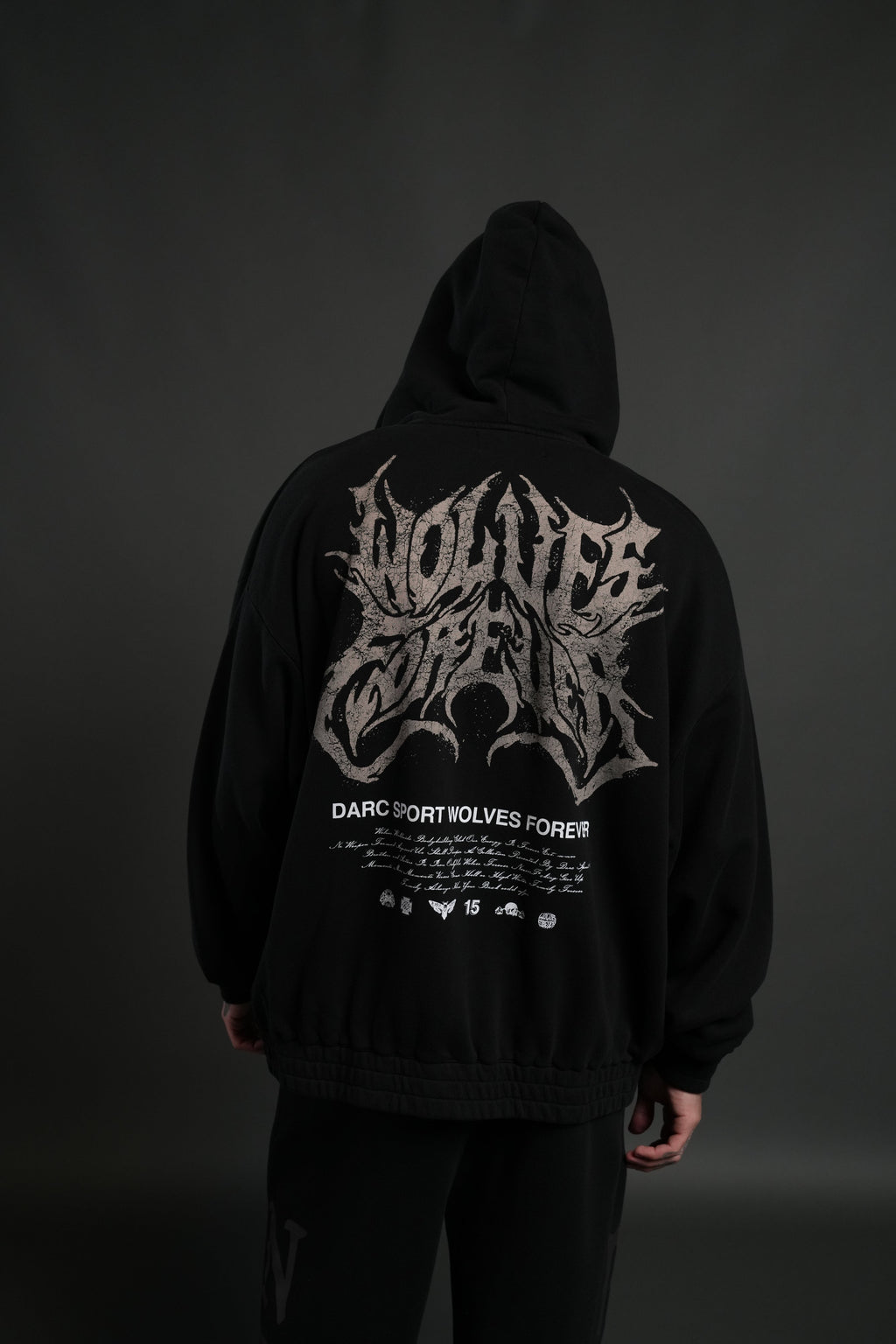 Sheer Loyalty "Chambers" Zip Hoodie in Black — imagem 4