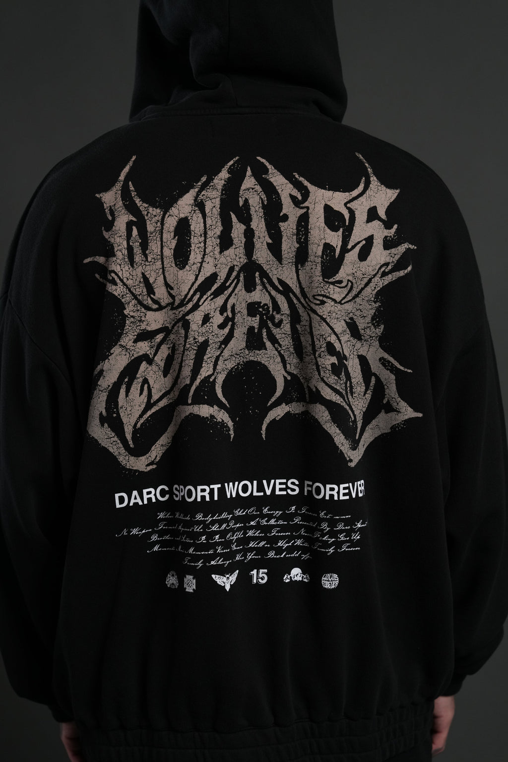 Sheer Loyalty "Chambers" Zip Hoodie in Black — imagem 5