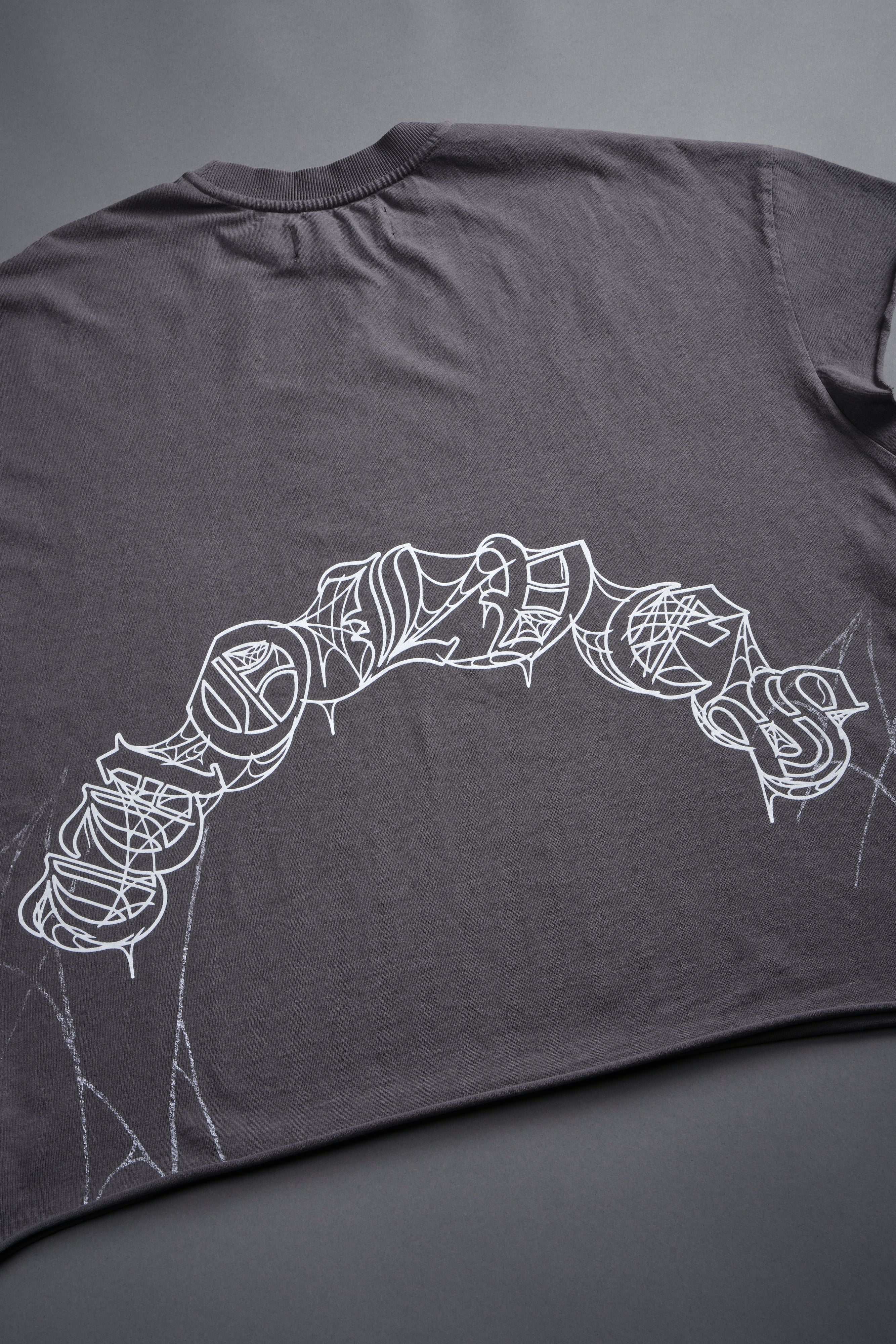 Web Of Darkness Grunge Mid Length Raw Hem Cap Sleeve Tee in Slate Gray