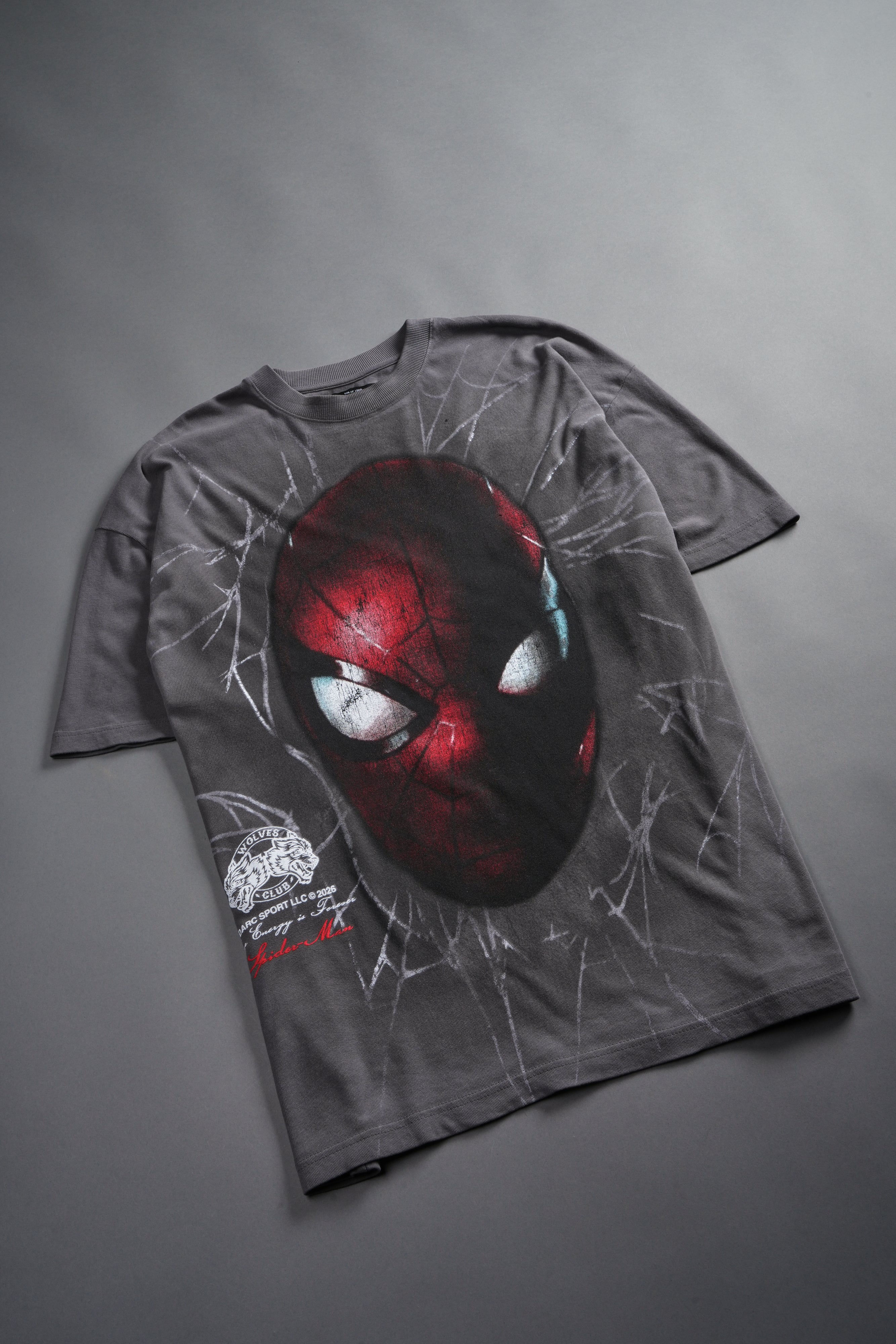 Web Of Darkness Premium Oversized Tee in Slate Gray