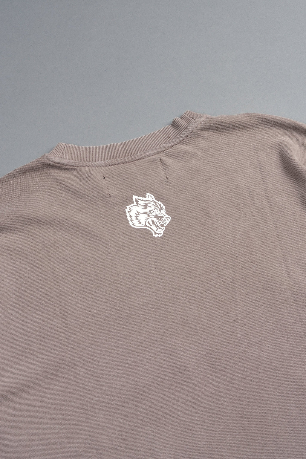 Ds Corazon Premium Oversized Tee In Mojave Brown