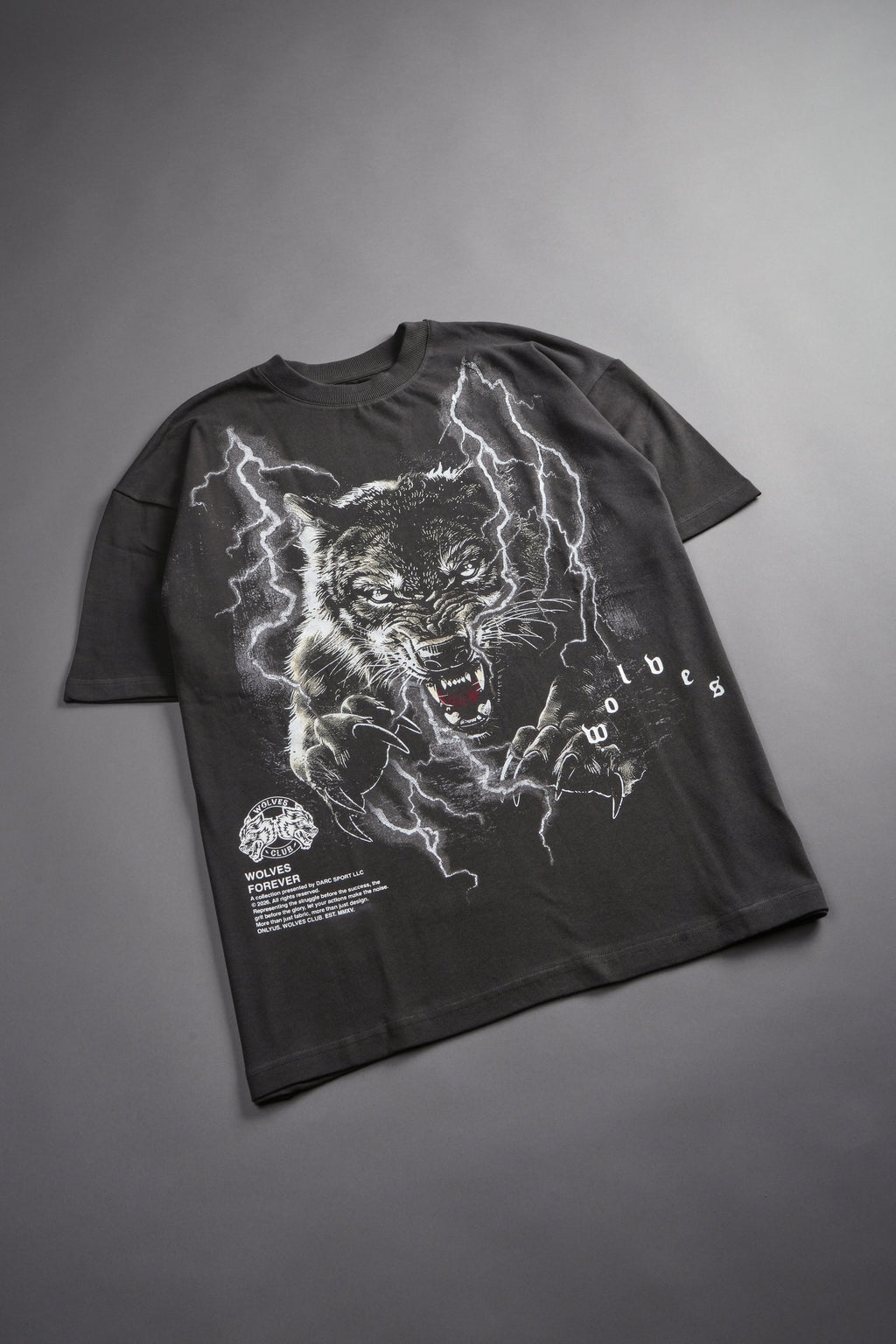 Trust Your Journey Premium Oversized Tee in Wolf Gray — imagem 9