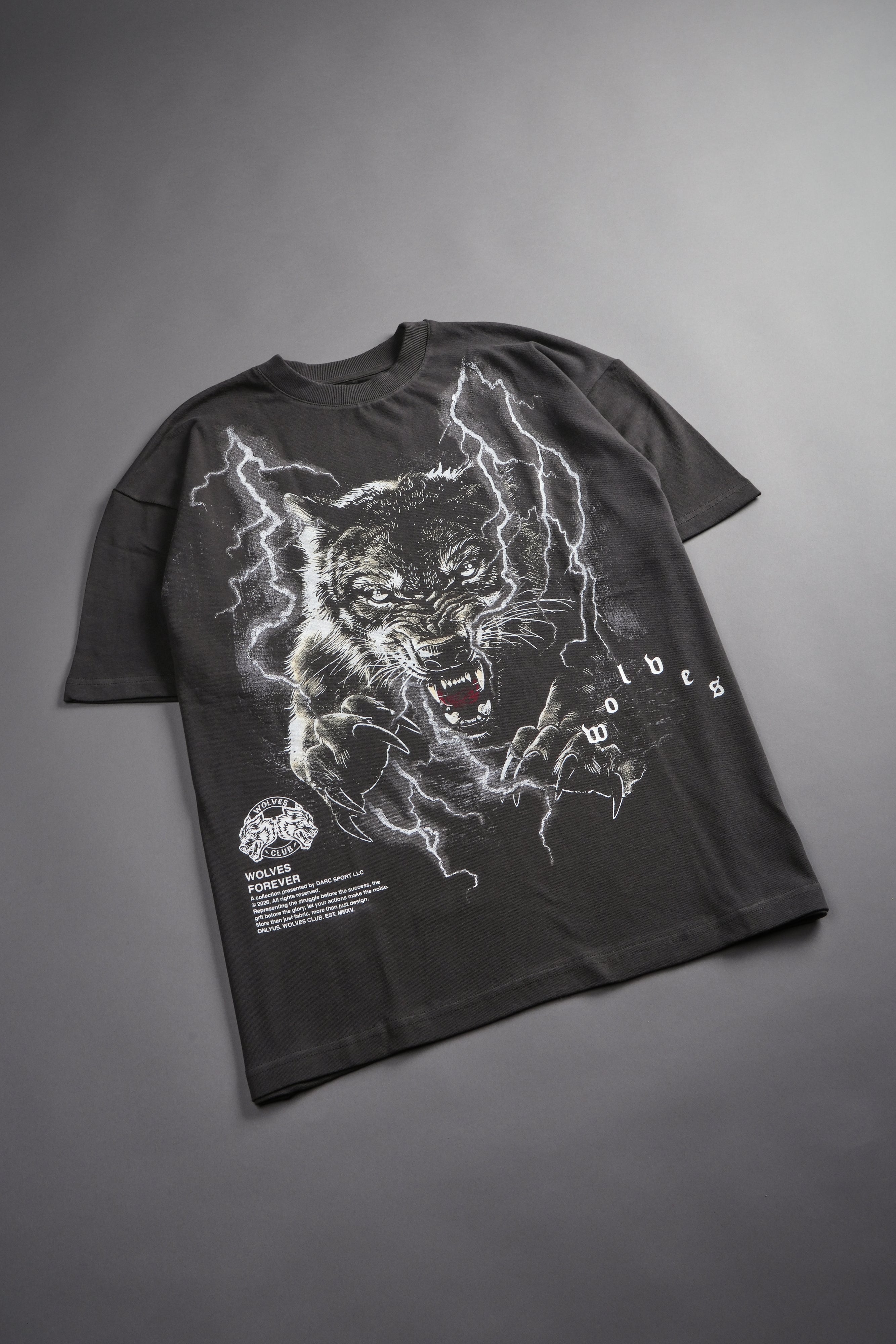 Trust Your Journey Premium Oversized Tee in Wolf Gray — imagem 9