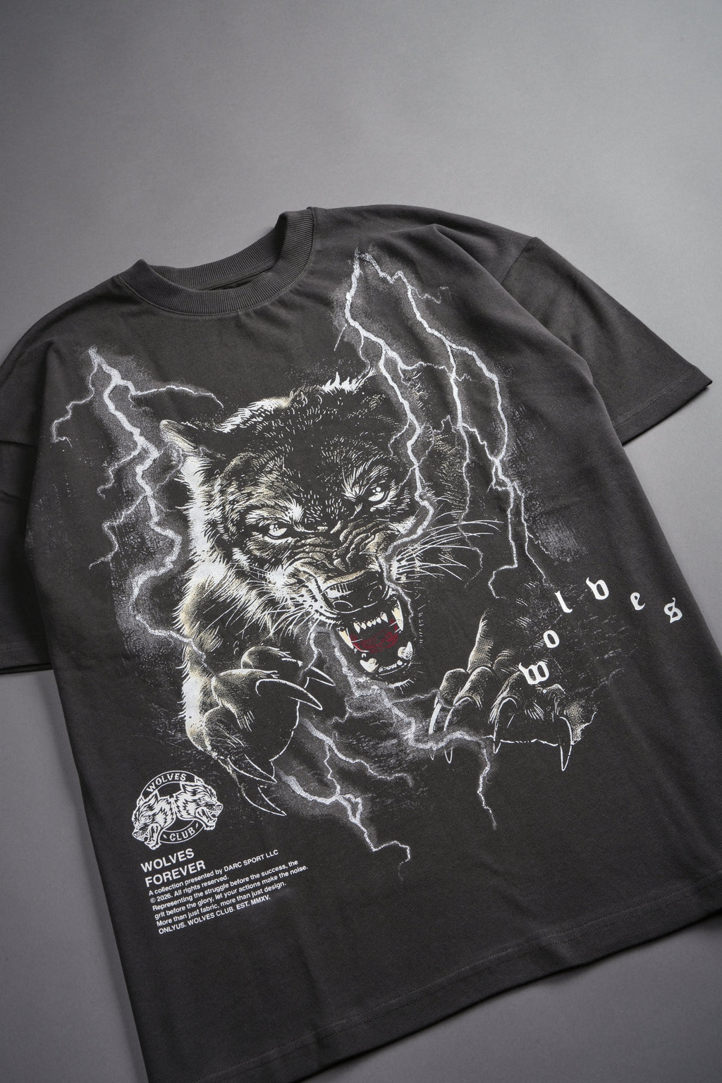 Trust Your Journey Premium Oversized Tee in Wolf Gray — imagem 10