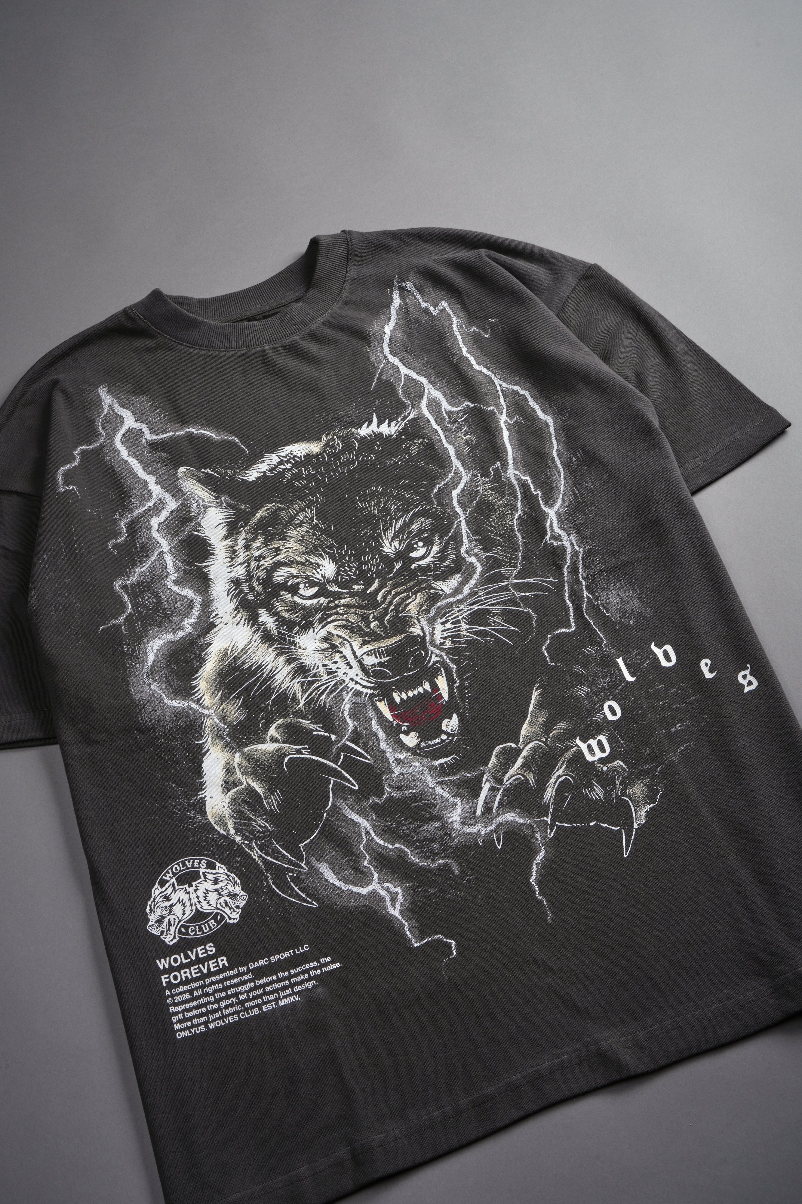 Trust Your Journey Premium Oversized Tee in Wolf Gray — imagem 10