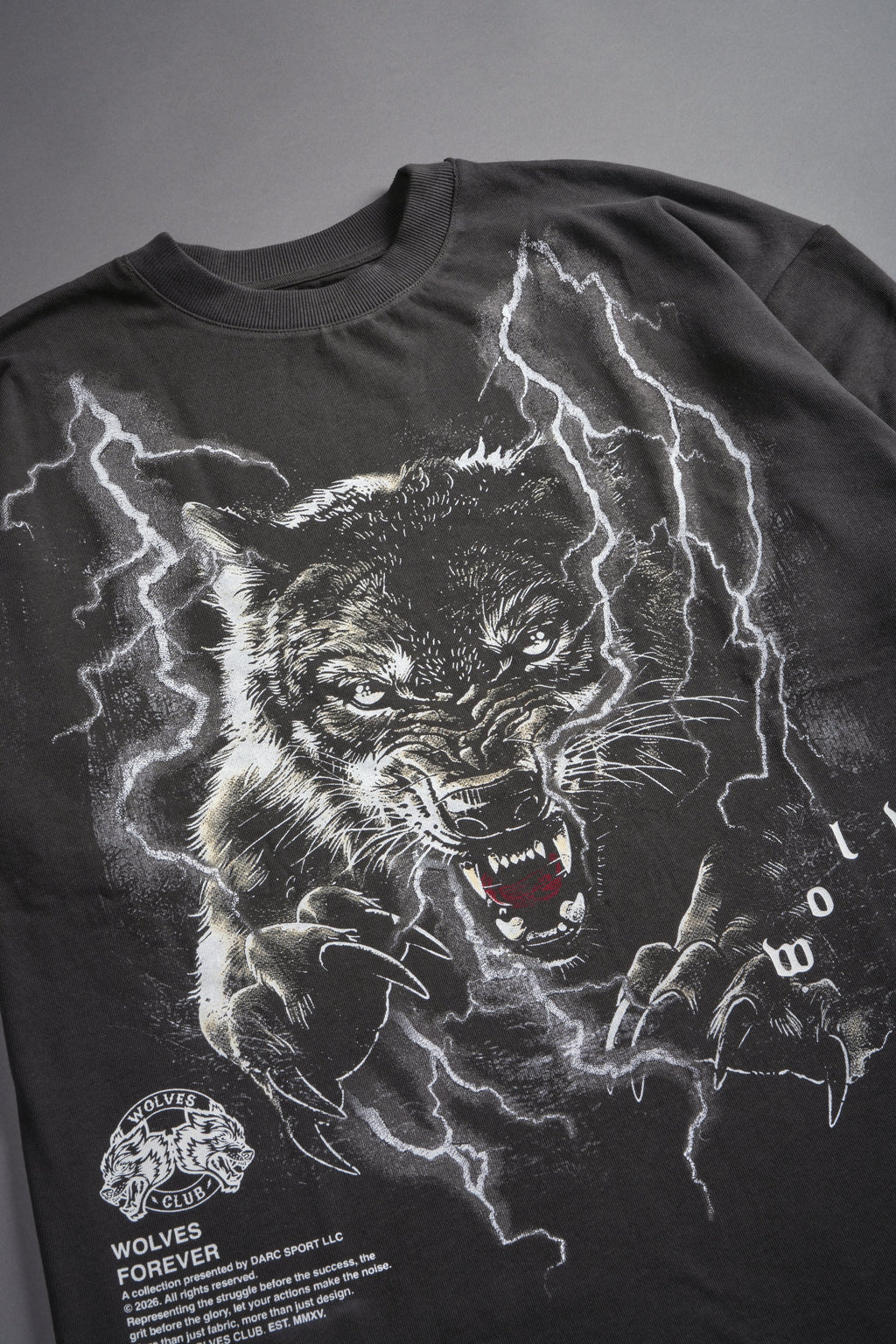 Trust Your Journey Premium Oversized Tee in Wolf Gray — imagem 11