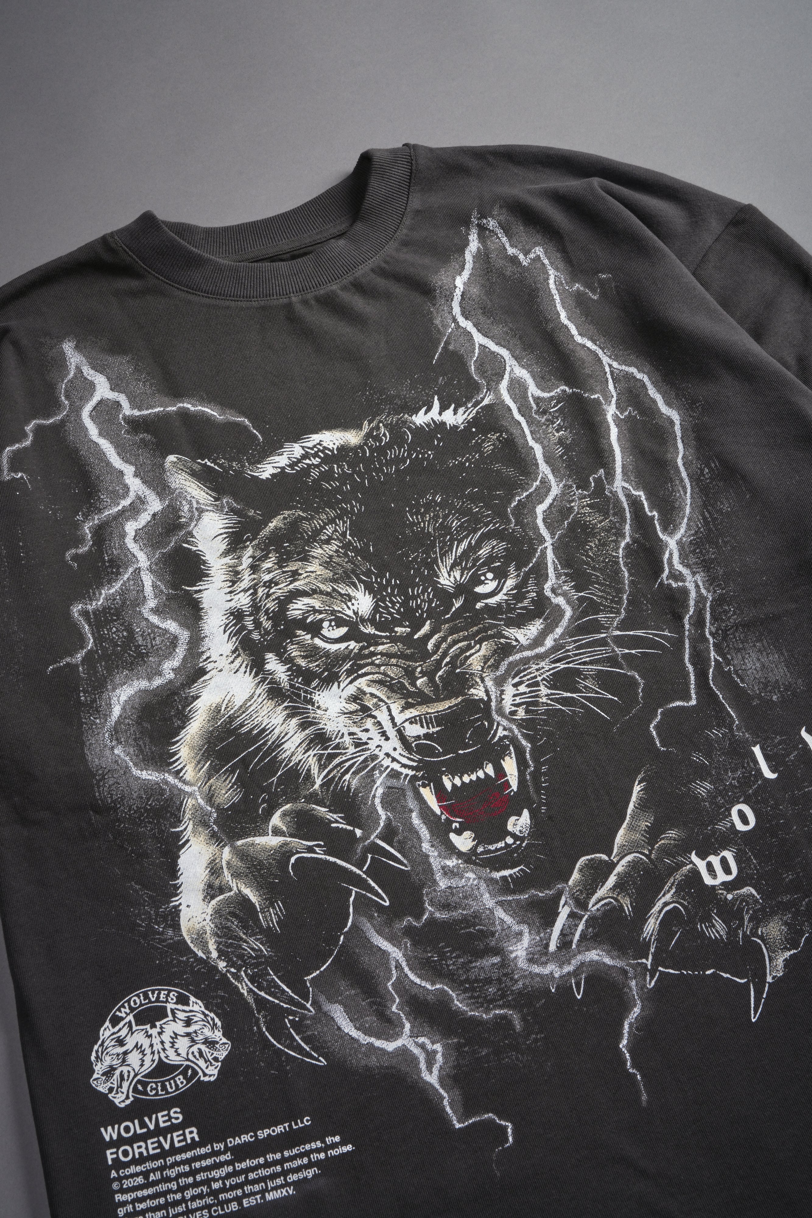 Trust Your Journey Premium Oversized Tee in Wolf Gray — imagem 11