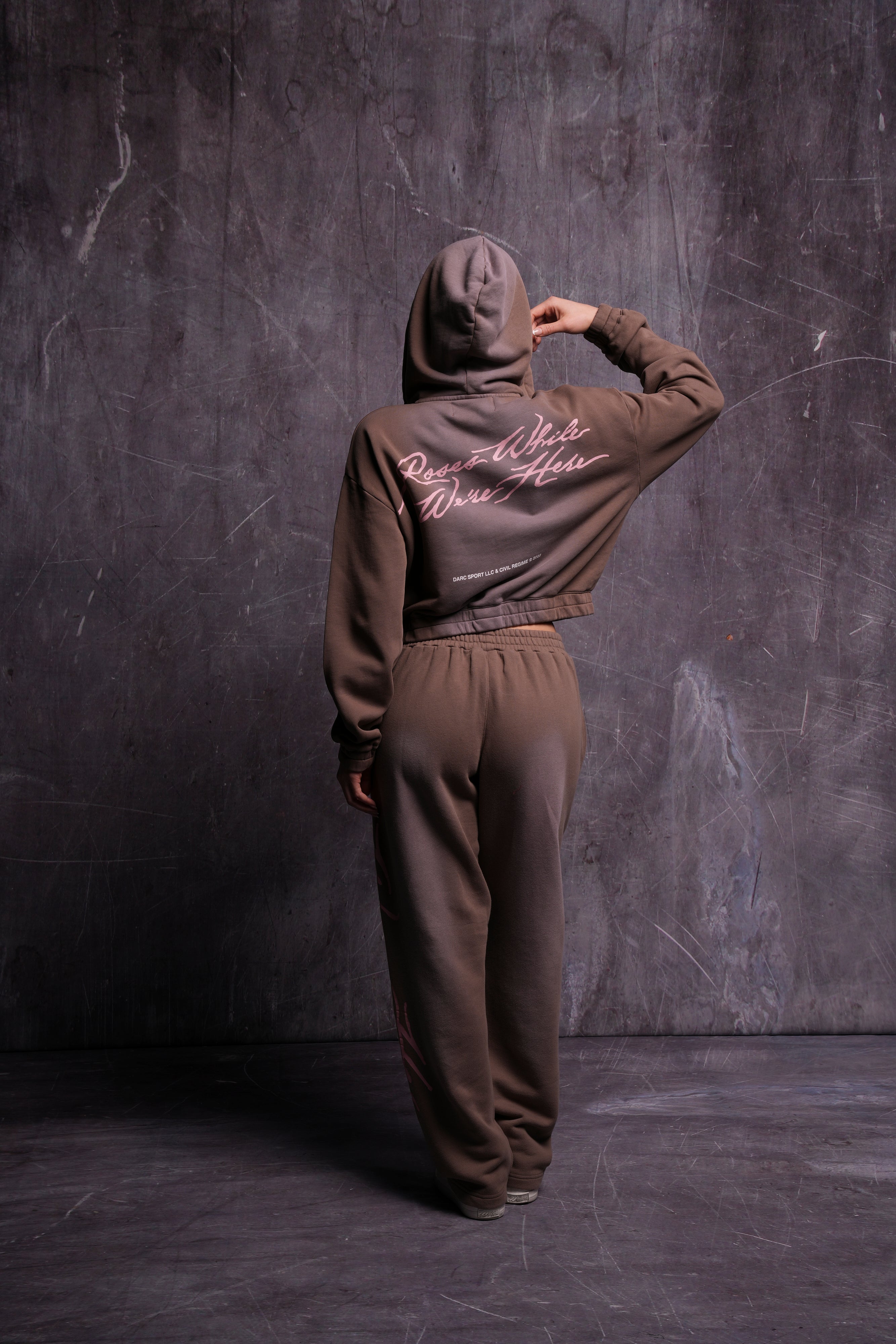 Roses While We're Here "Chambers" (Cropped) Zip Hoodie in Mojave Brown Sun Fade — imagem 7