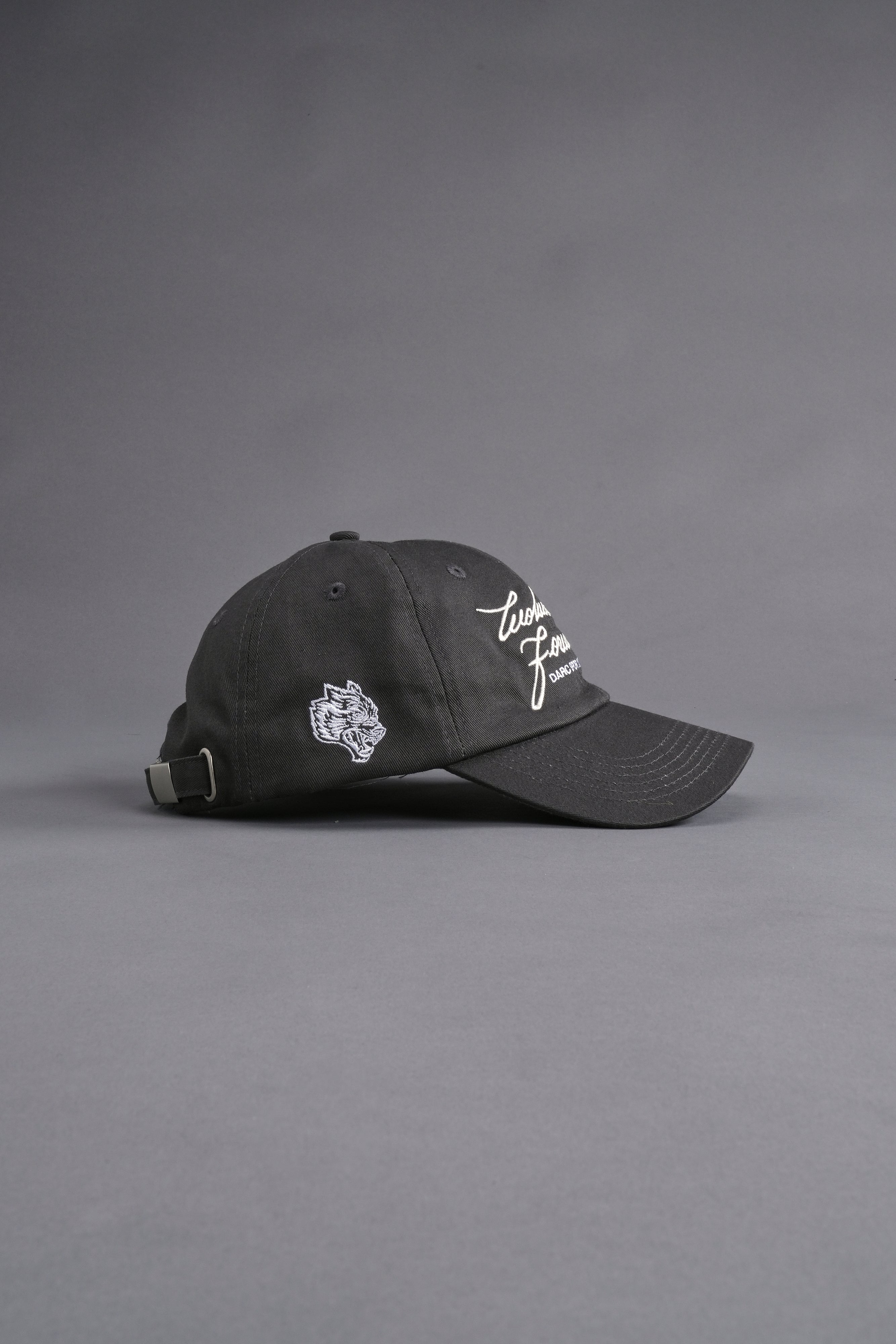 Search Within Dad Hat V2 in Wolf Gray — imagem 5