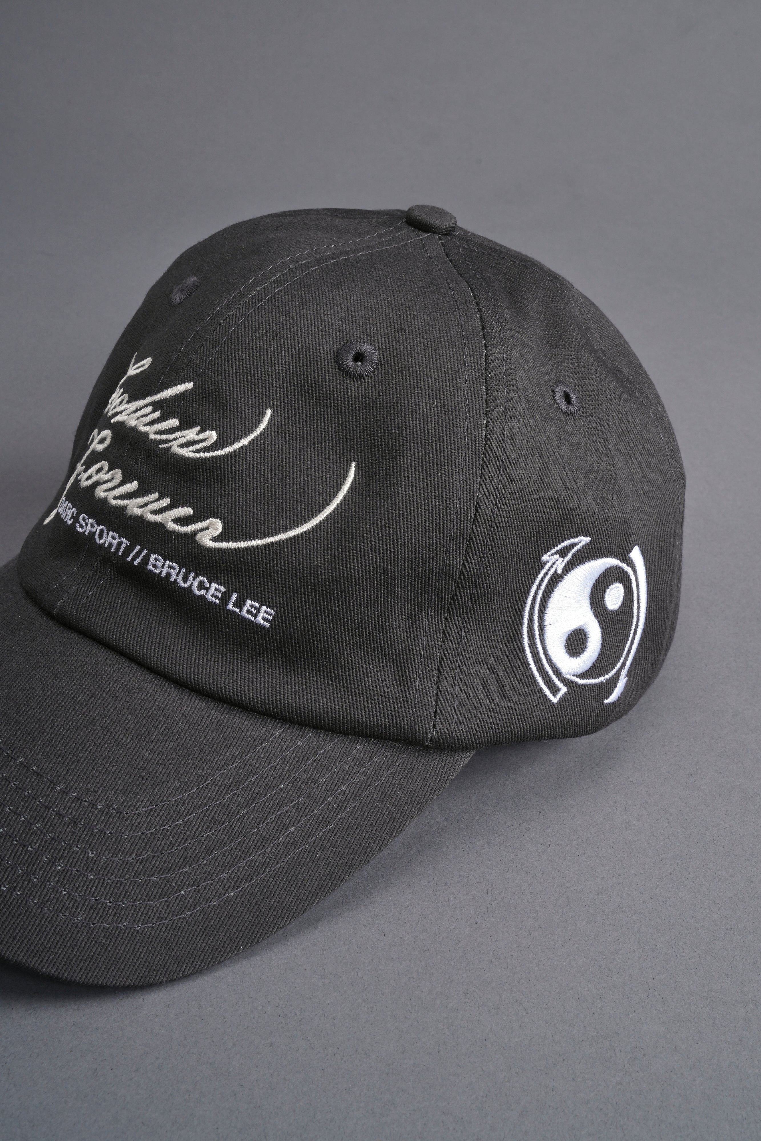 Search Within Dad Hat V2 in Wolf Gray — imagem 7