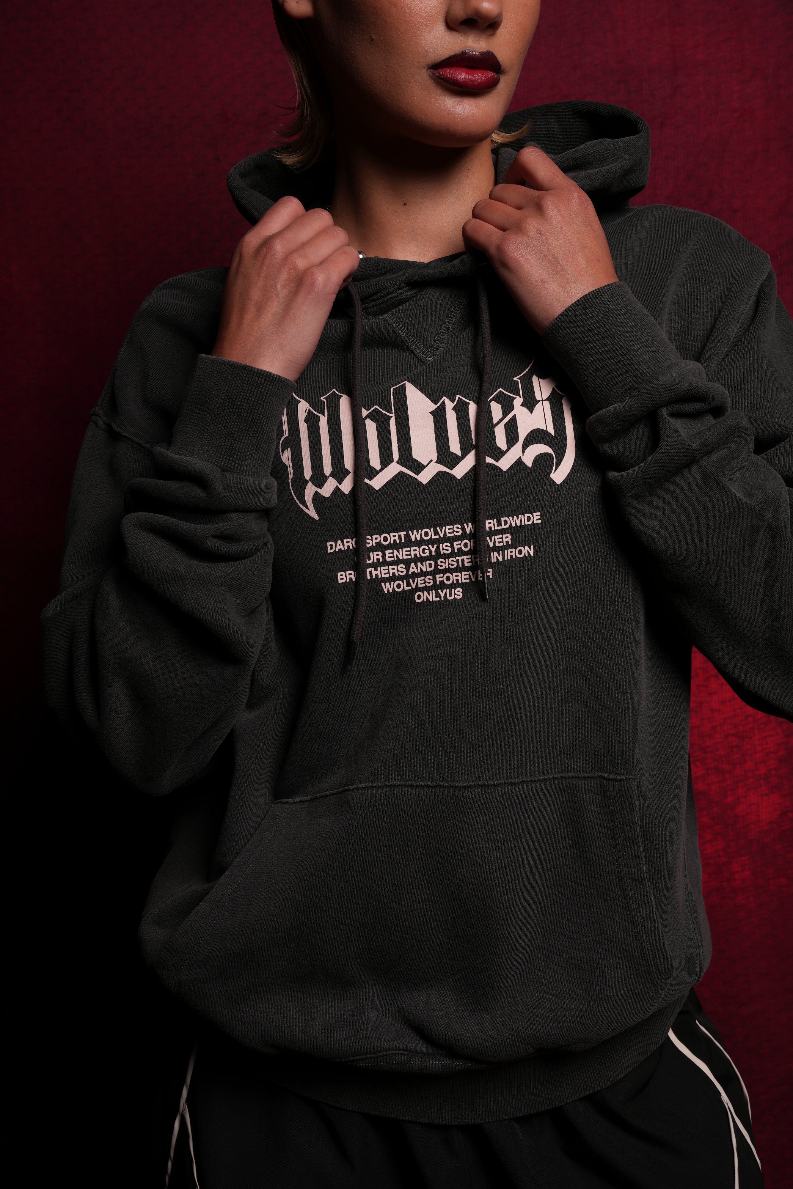 Never Back Down "Dakota" Hoodie in Wolf Gray — imagem 5
