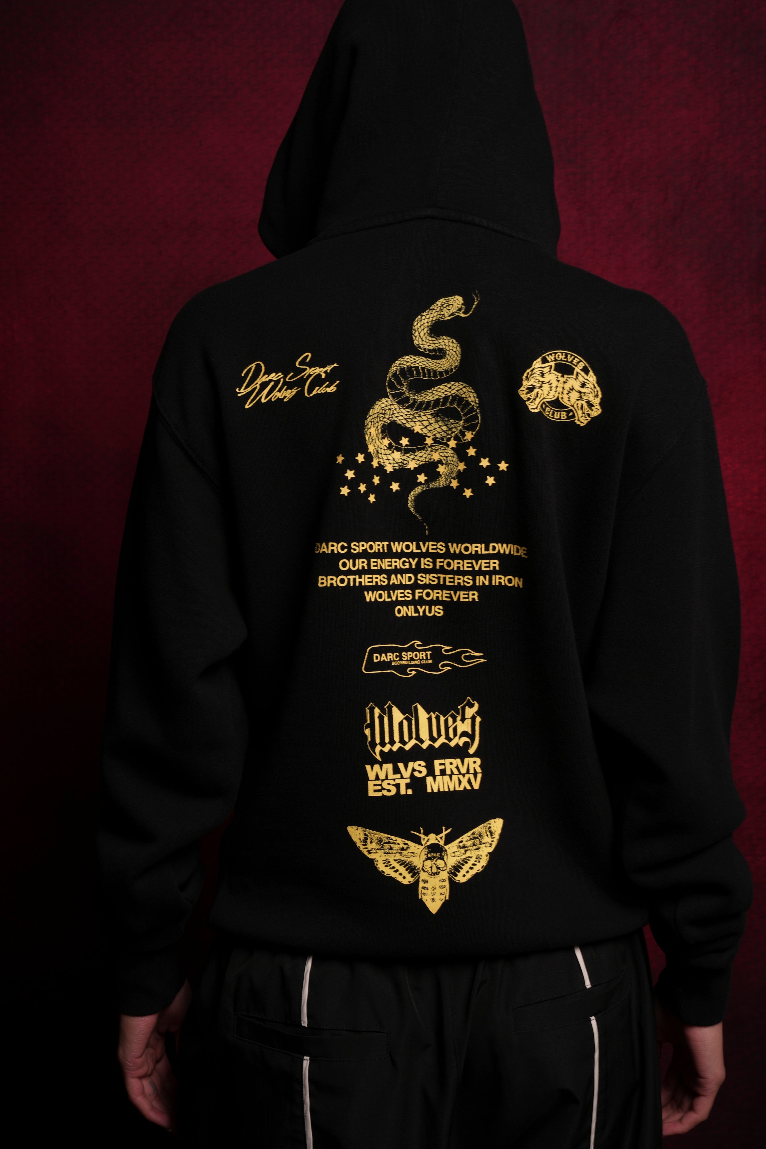Never Back Down "Dakota" Hoodie in Black — imagem 1
