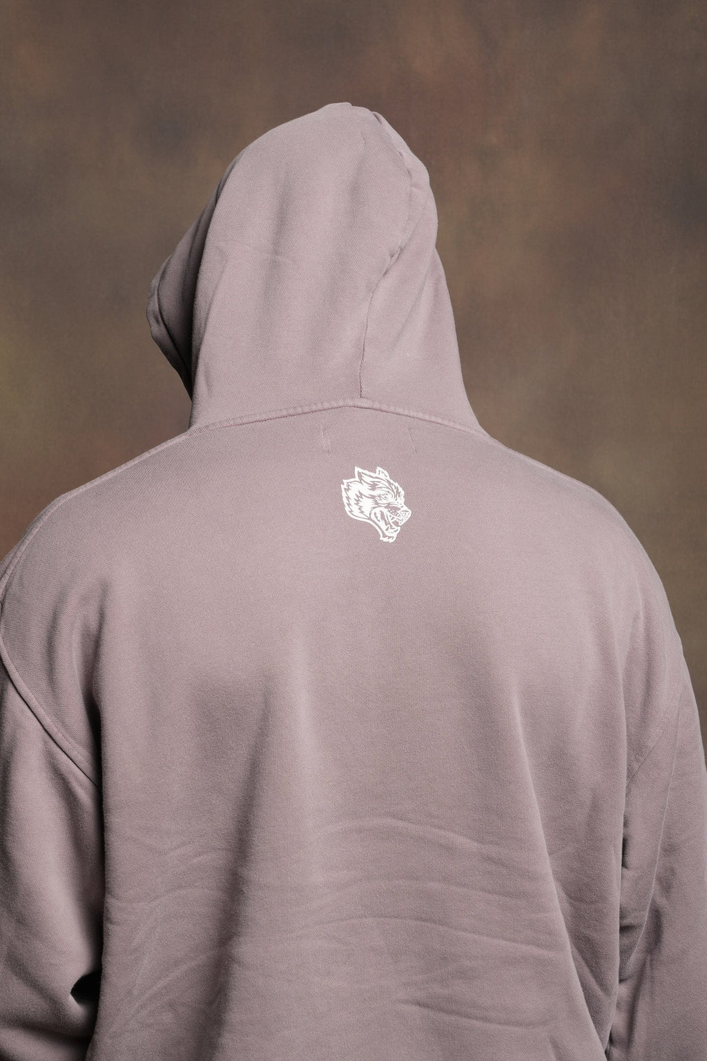 Ds Corazon Pierce Hoodie In Pale Gray