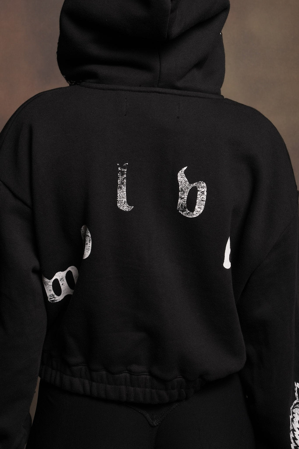 Stud Lobo Chambers Cropped Zip Hoodie In Black