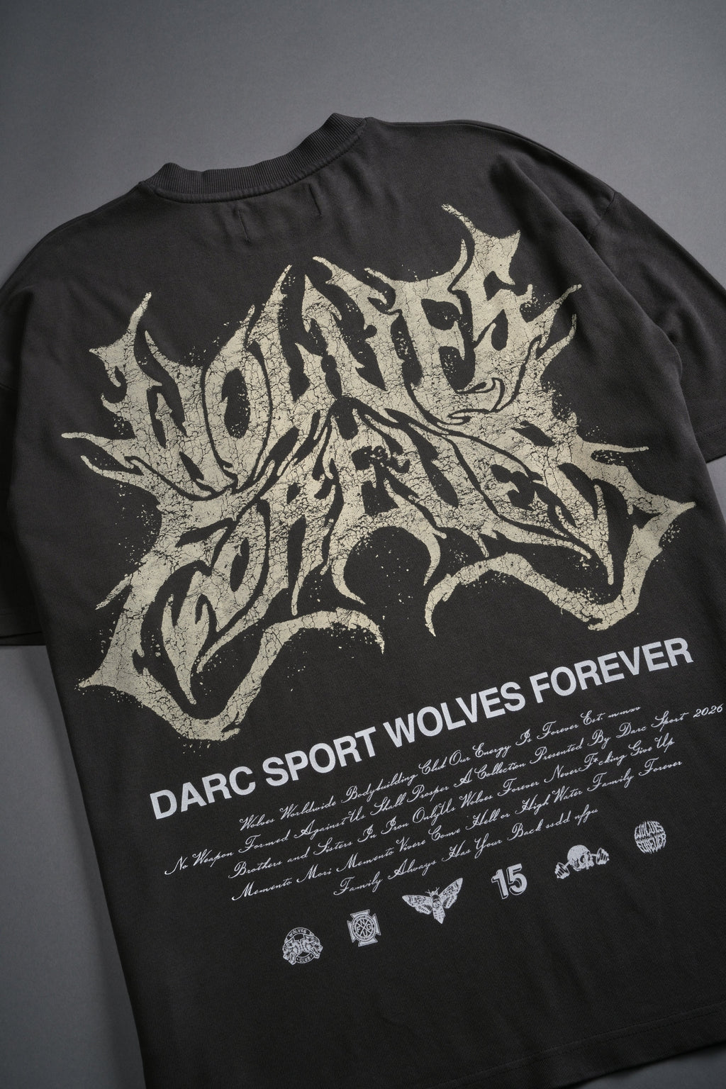 Sheer Loyalty "Premium" Oversized Tee in Wolf Gray — imagem 8