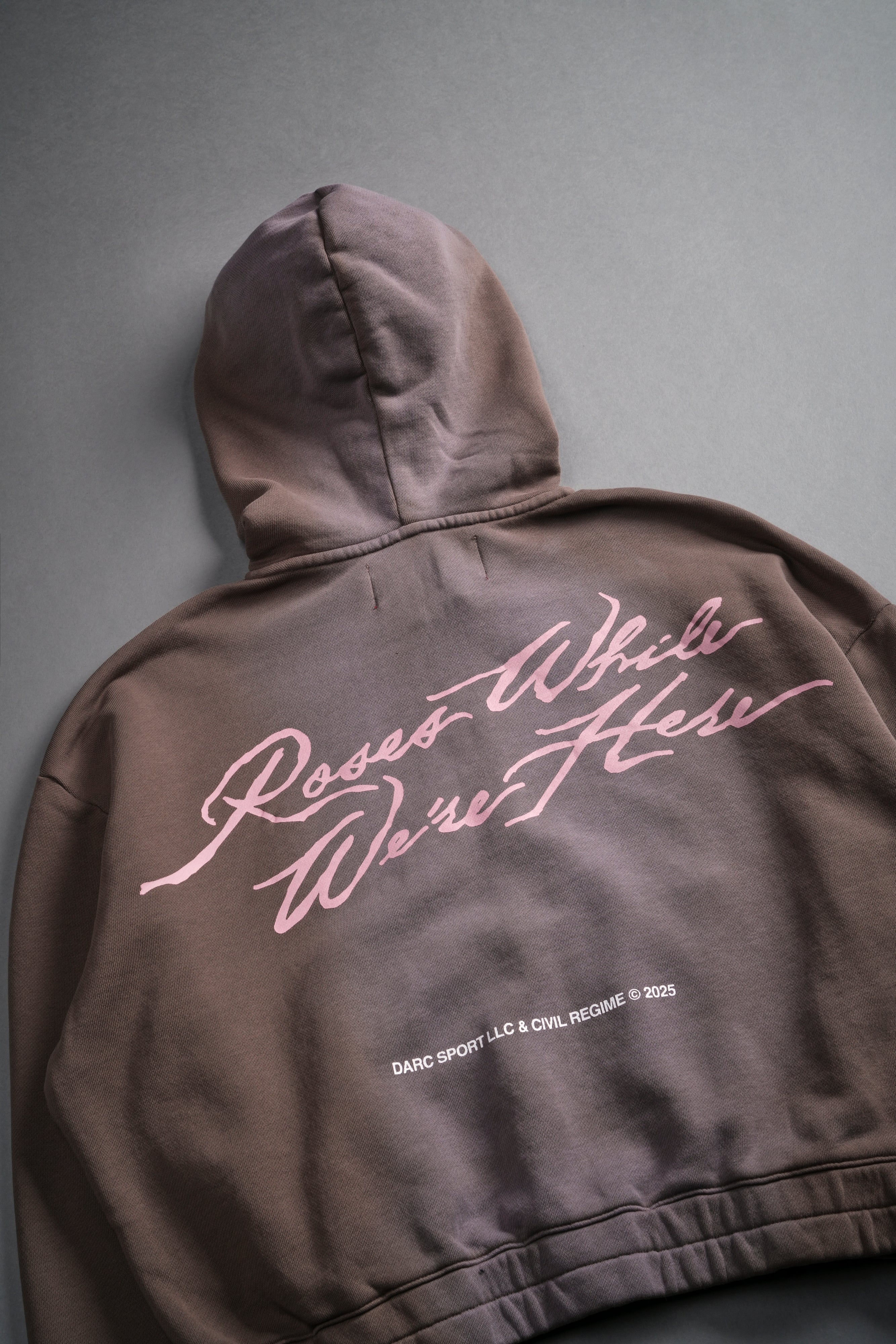 Roses While We're Here "Chambers" (Cropped) Zip Hoodie in Mojave Brown Sun Fade — imagem 9