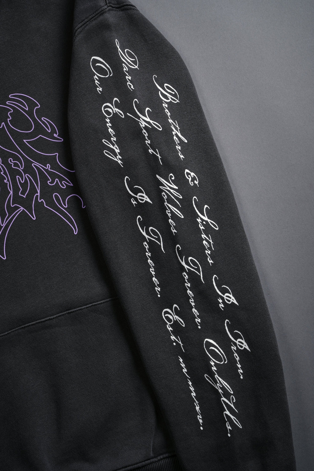 Iron Side She "Dakota" Hoodie in Wolf Gray — imagem 4