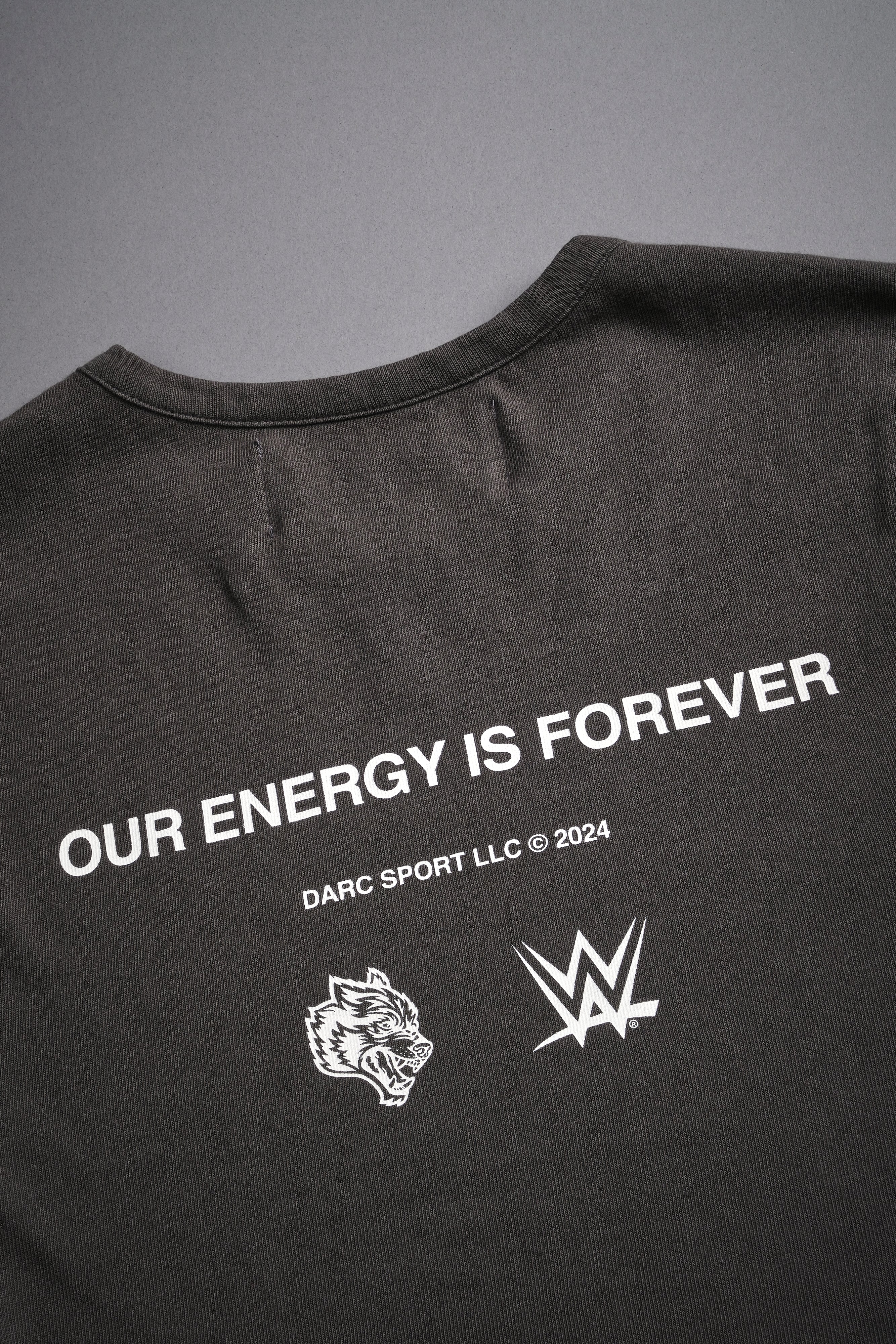 Moth Forever Baby Tee in Wolf Gray — imagem 9