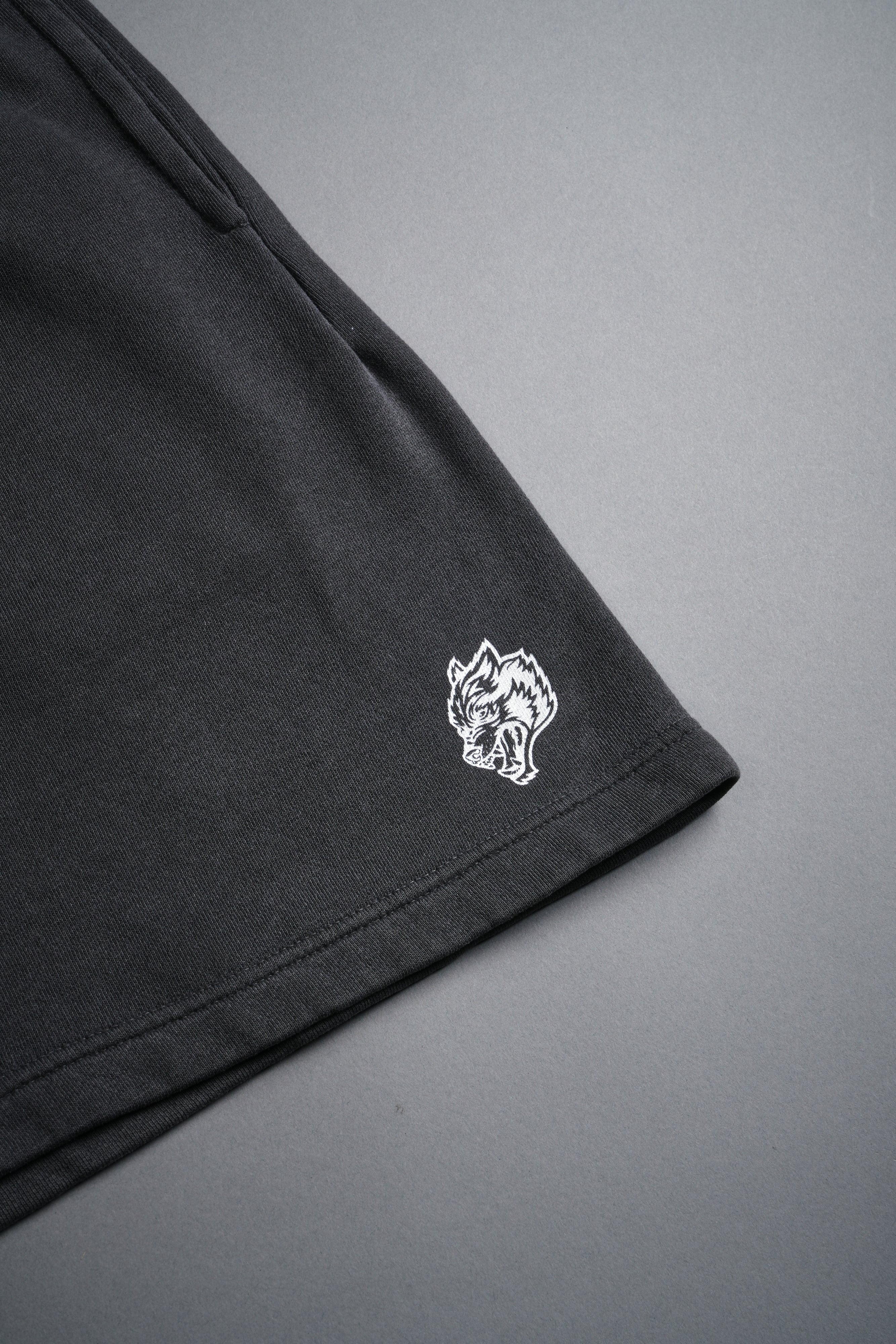Box Patch Dual Post Lounge Sweat Shorts V2 in Wolf Gray — imagem 11