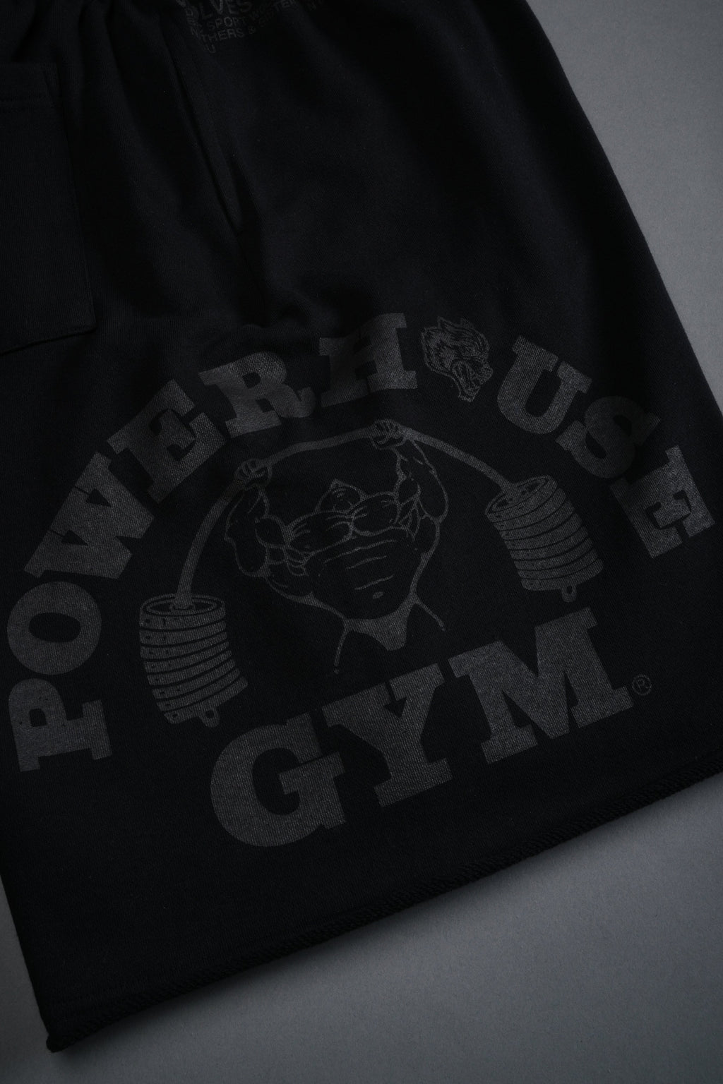Powerhouse of the Wolves Grunge Brock Sweat Shorts in Black — imagem 10